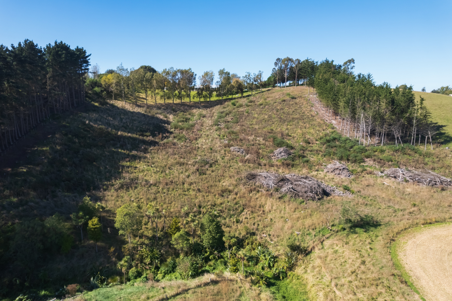 376 Awamoa Road, AWAMOA