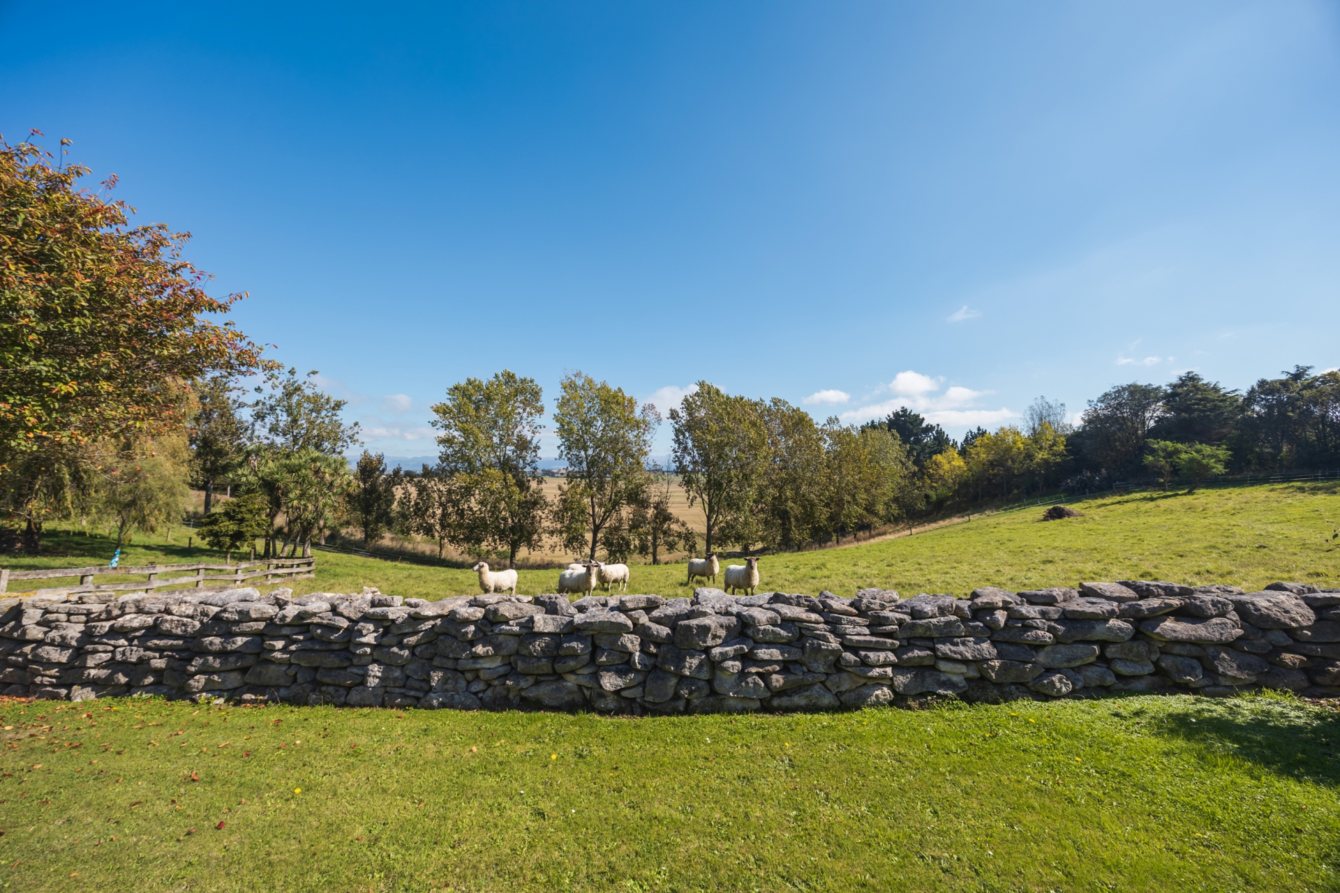 376 Awamoa Road, AWAMOA