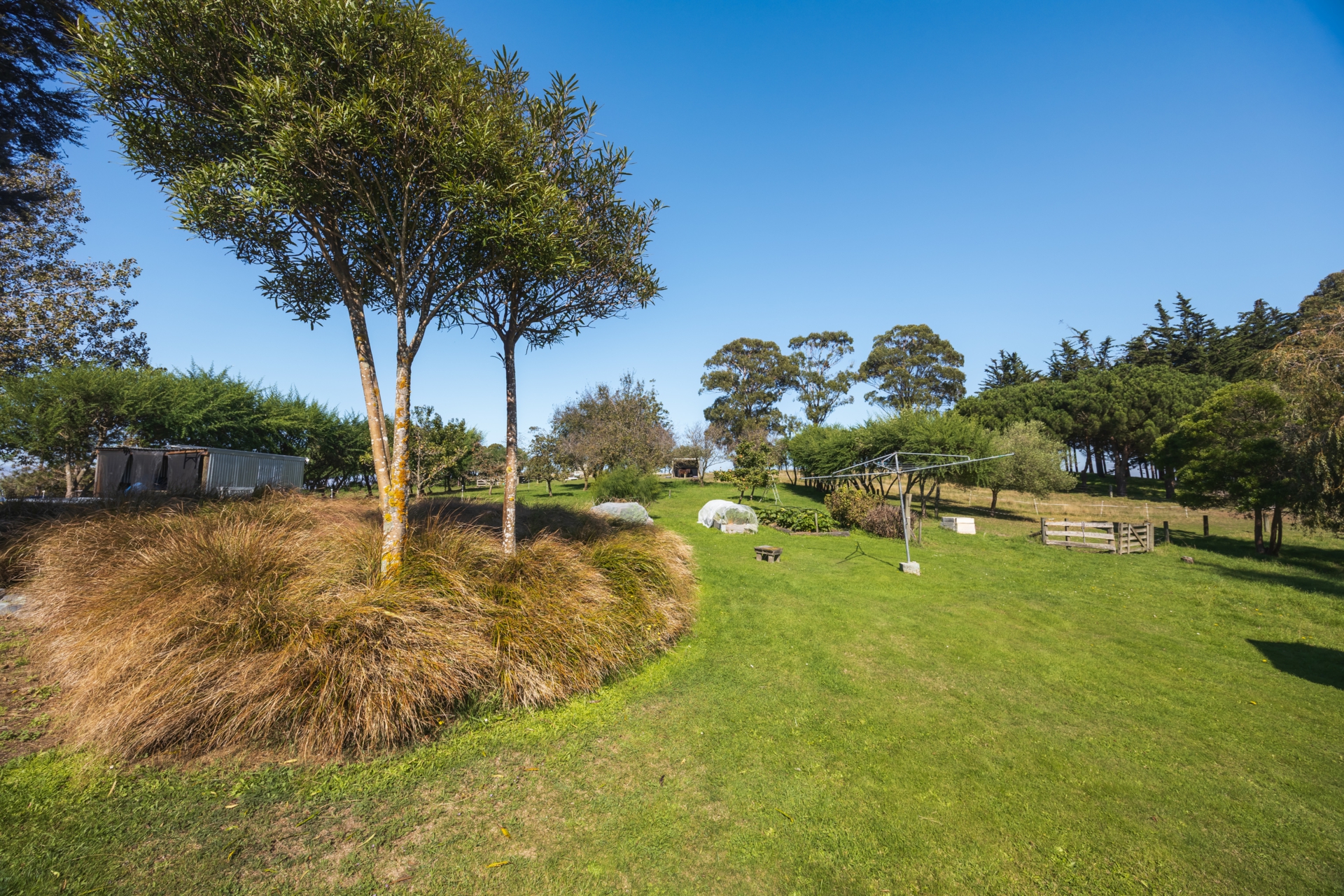 376 Awamoa Road, AWAMOA