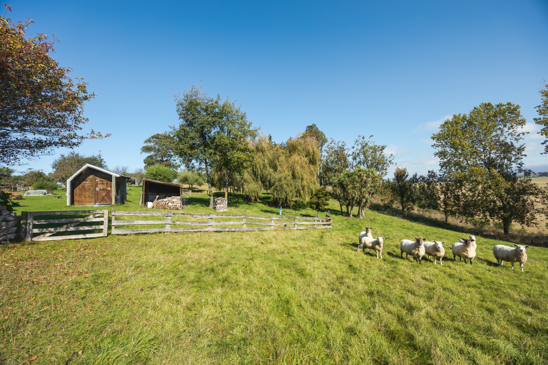 376 Awamoa Road, AWAMOA