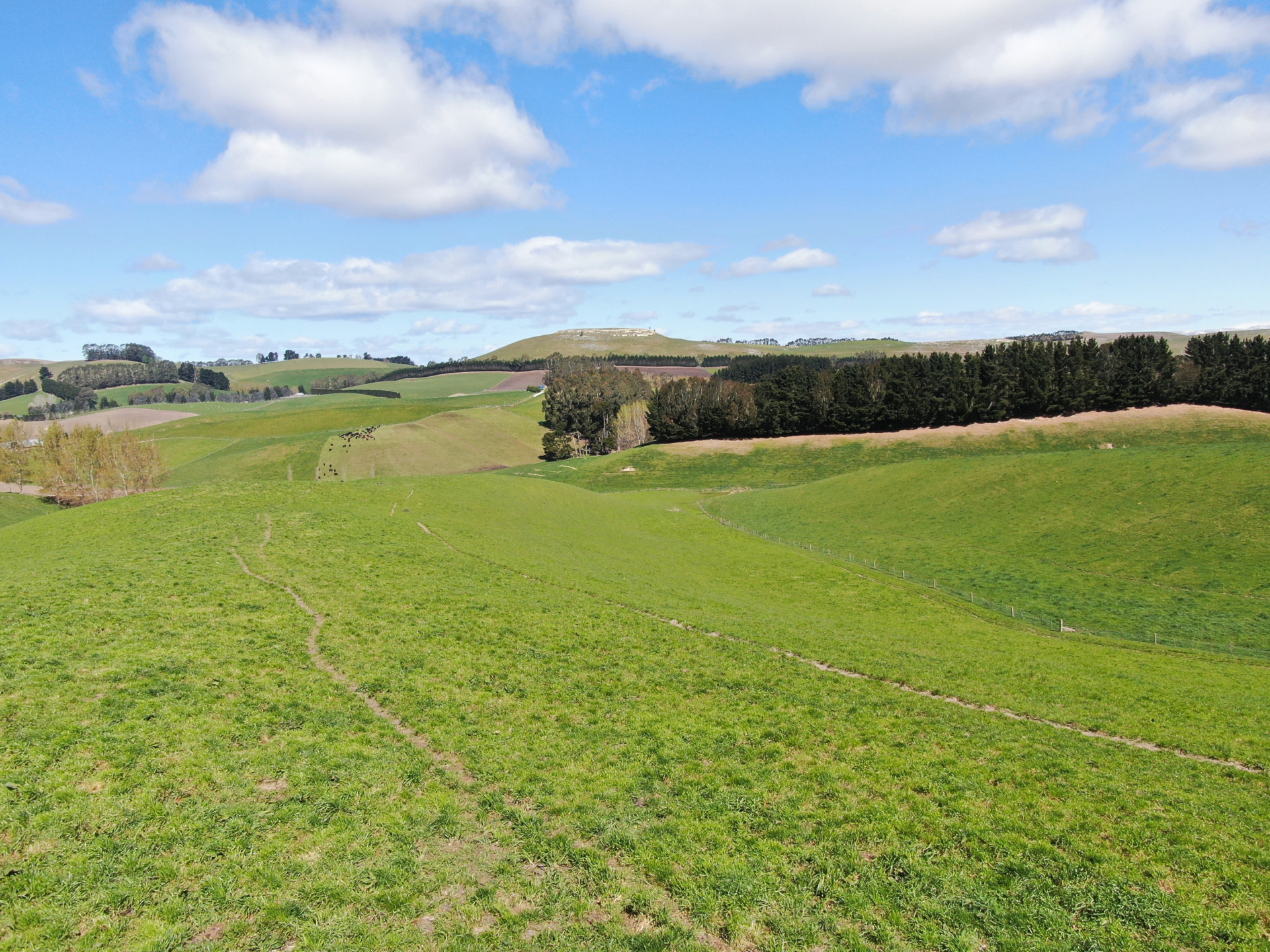 143 Oamaru Creek Road, Rosebery
