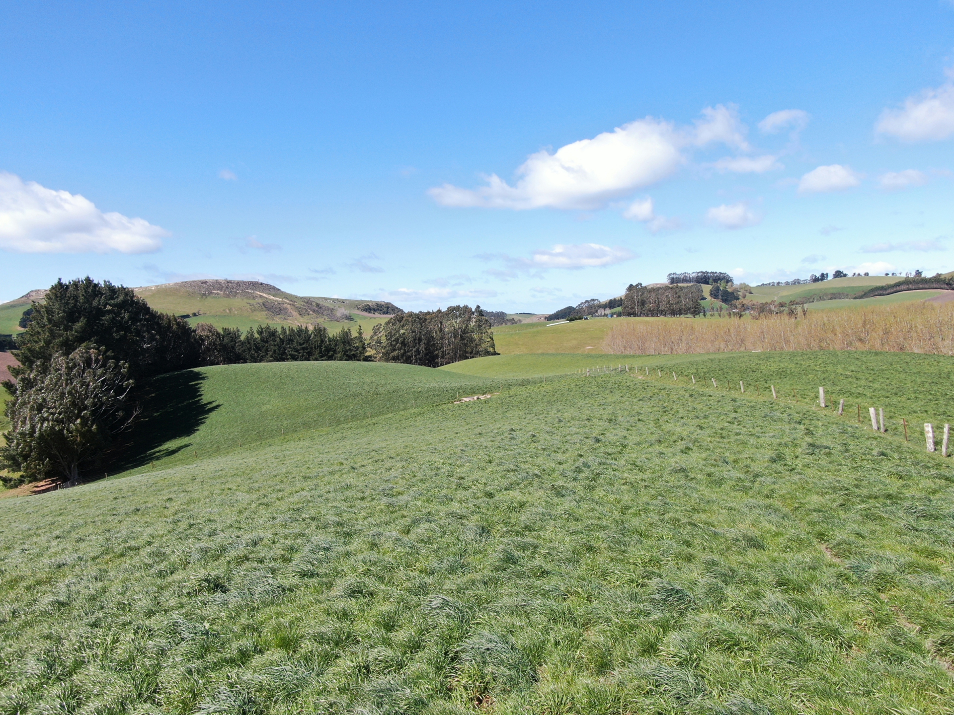 143 Oamaru Creek Road, Rosebery
