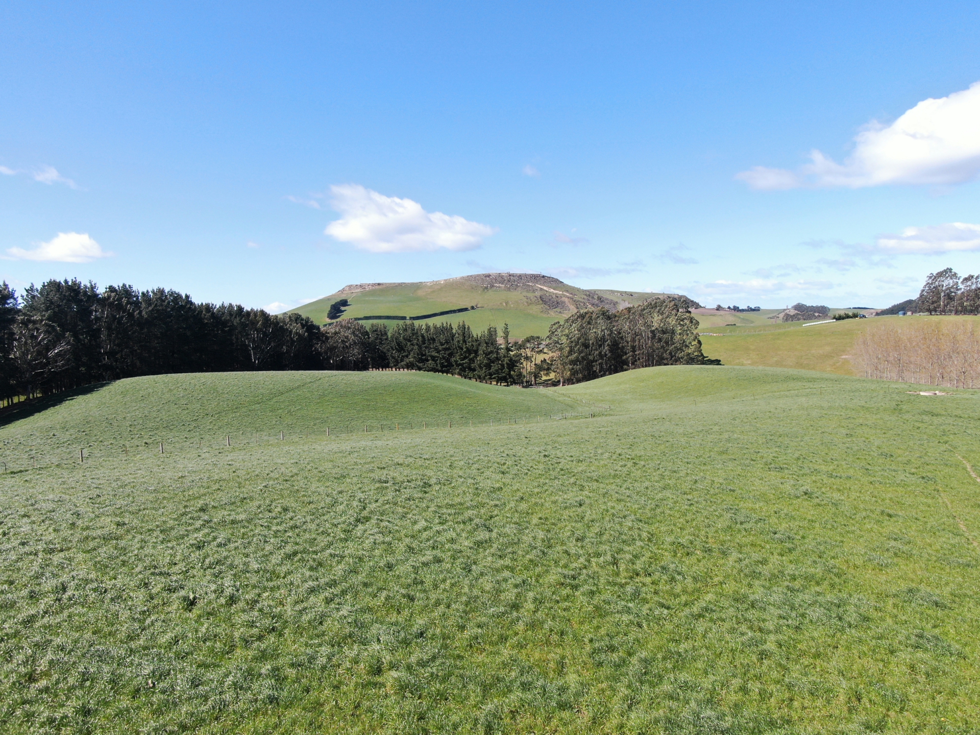 143 Oamaru Creek Road, Rosebery