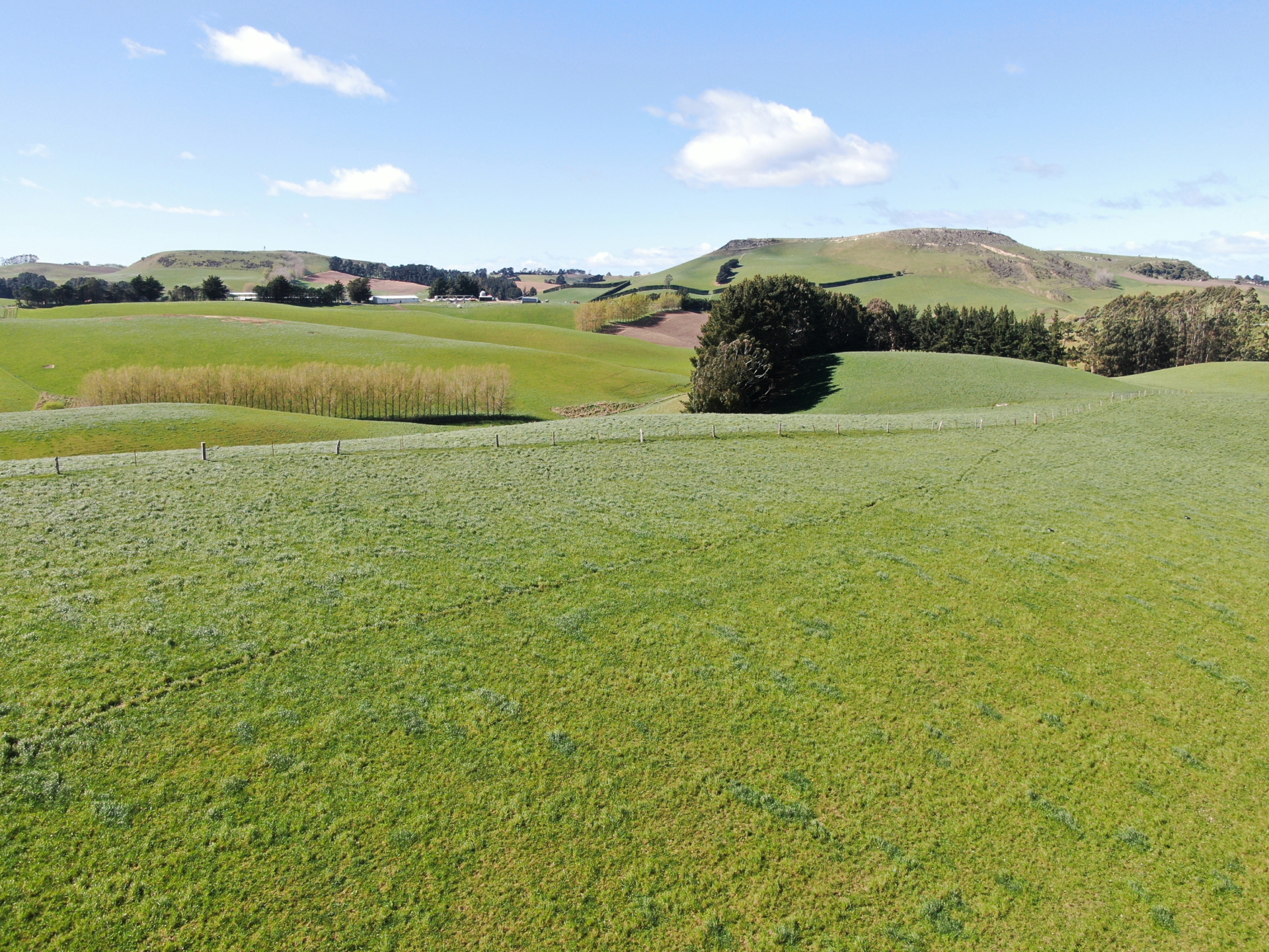 143 Oamaru Creek Road, Rosebery