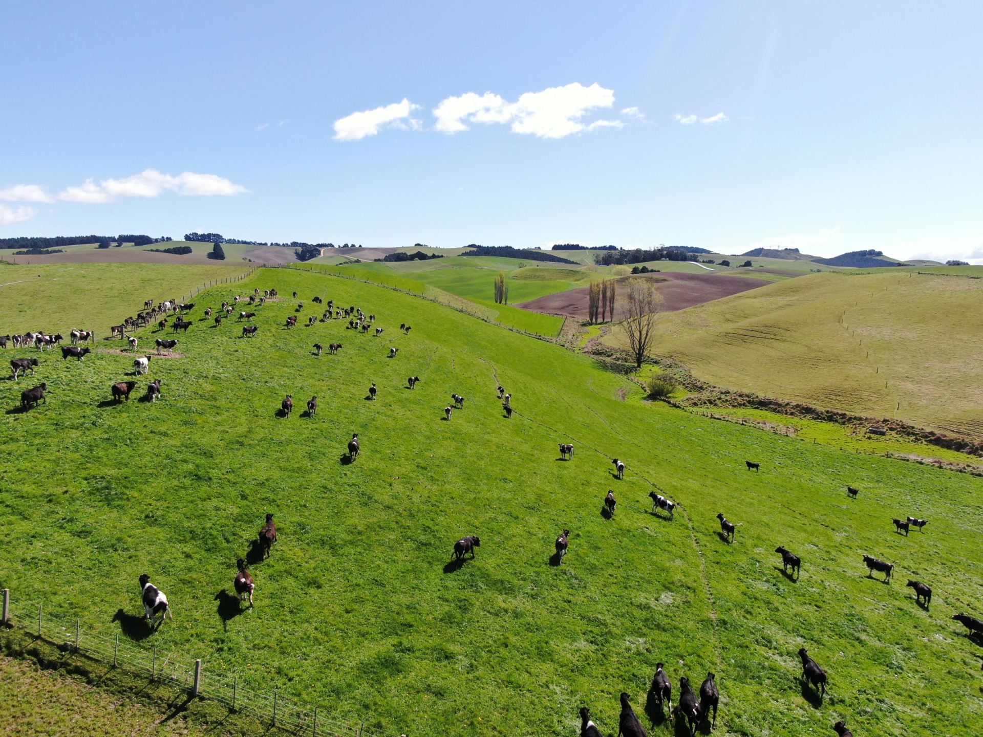 143 Oamaru Creek Road, Rosebery