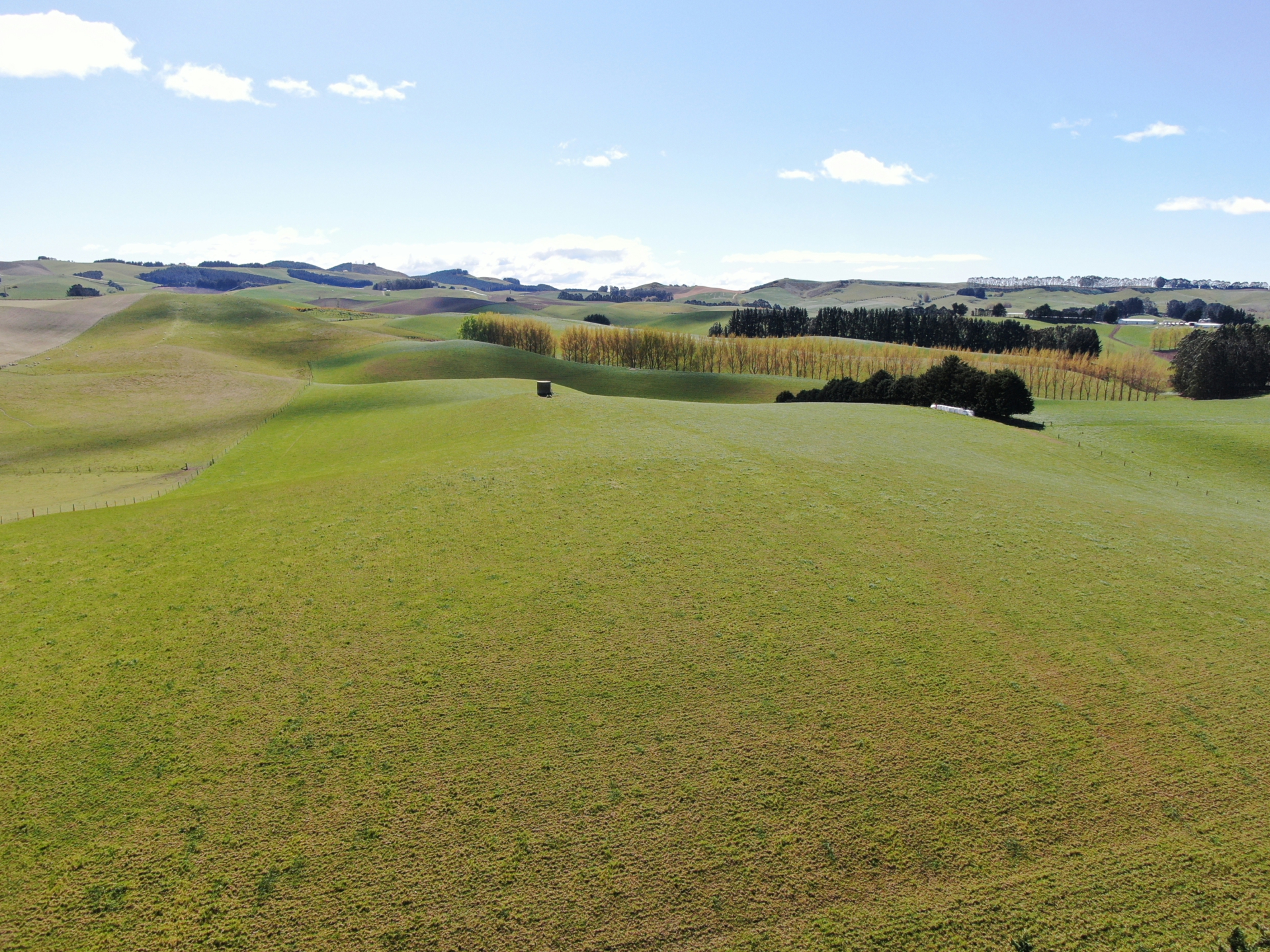143 Oamaru Creek Road, Rosebery