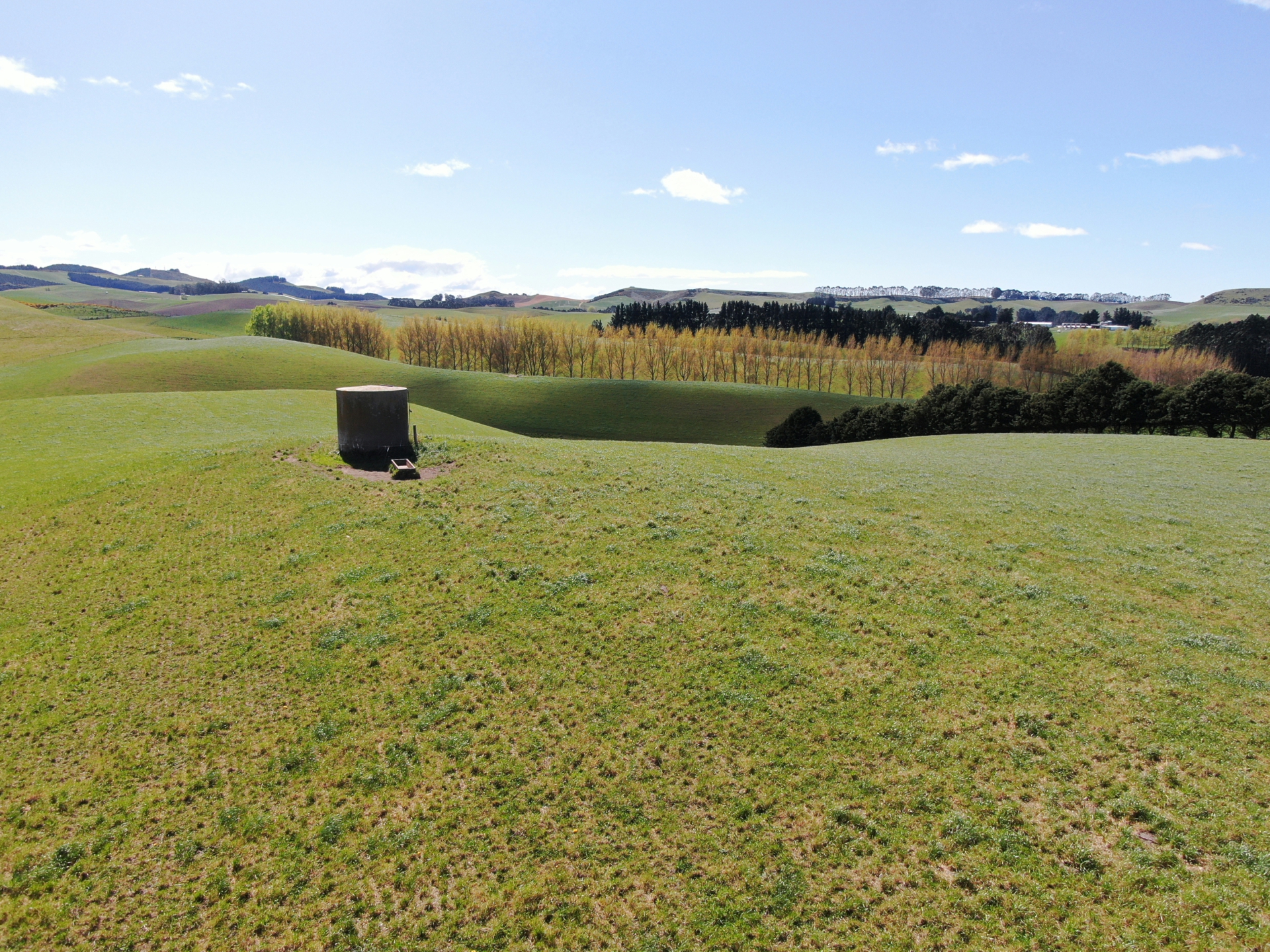 143 Oamaru Creek Road, Rosebery