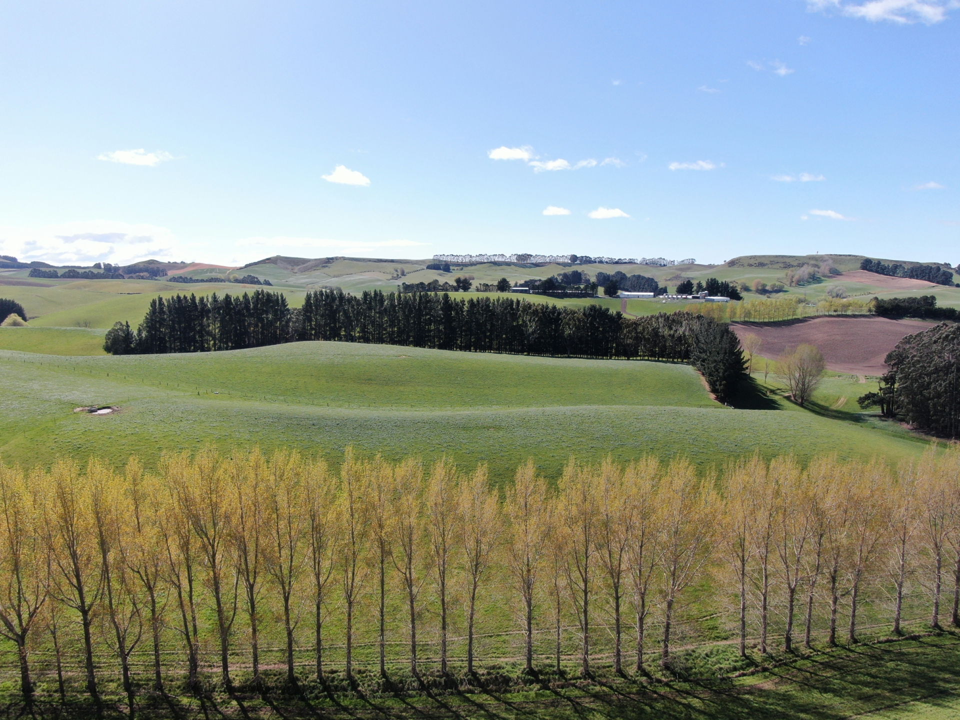 143 Oamaru Creek Road, Rosebery