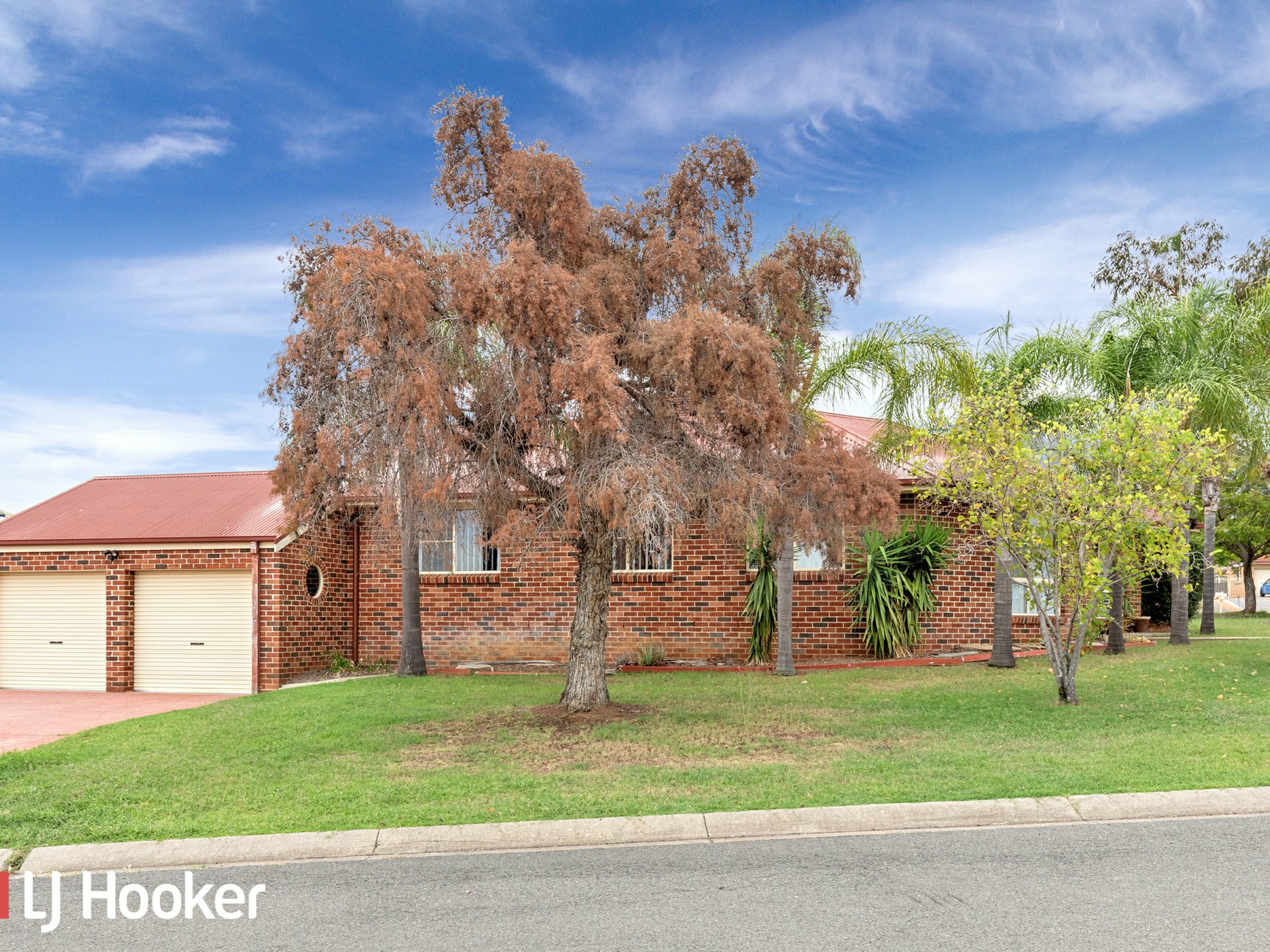 43 Allawah Street — photo 12 of 17