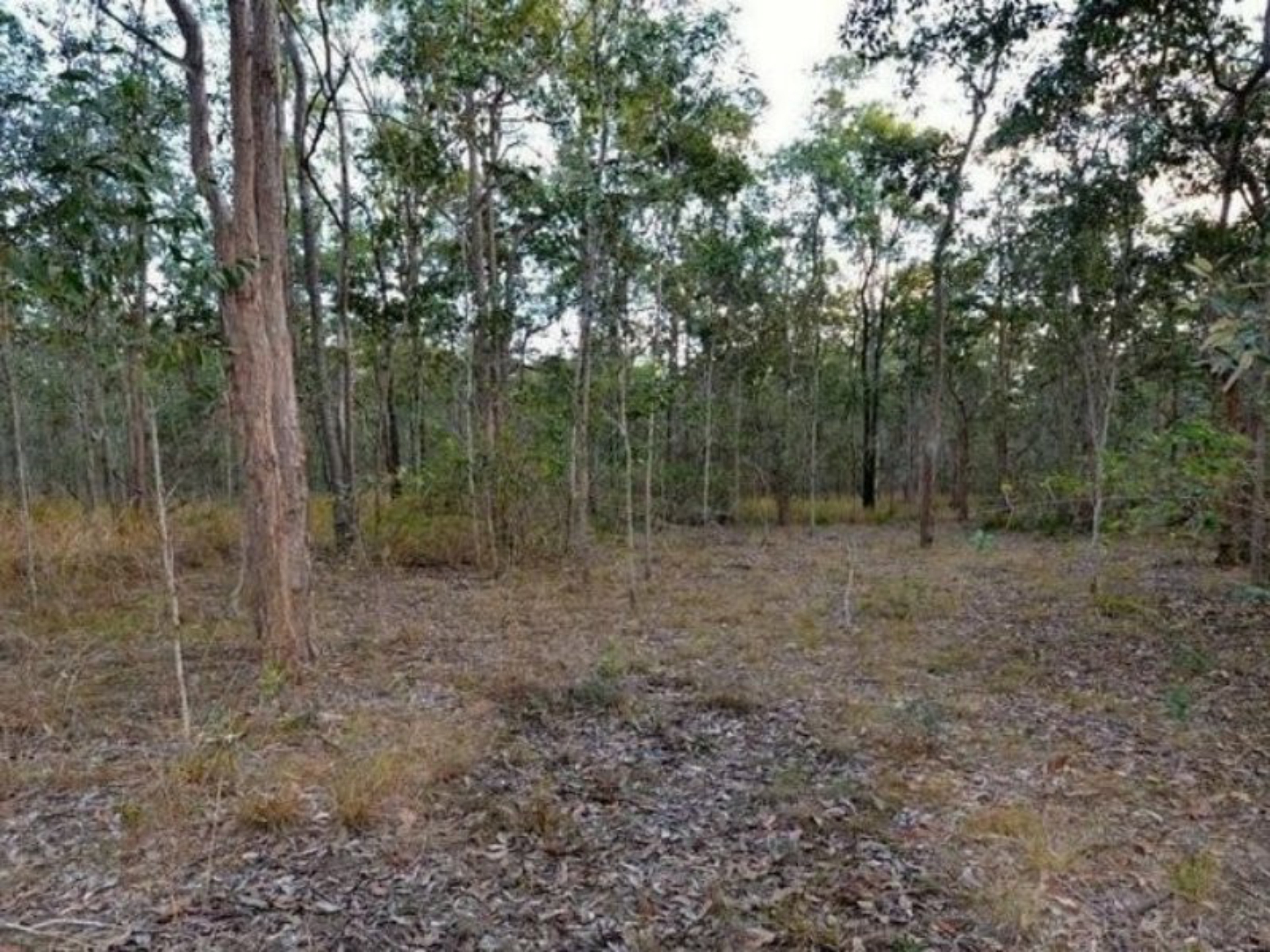 29 Willaura Drive Coominya QLD Lifestyle for Sale LJ Hooker