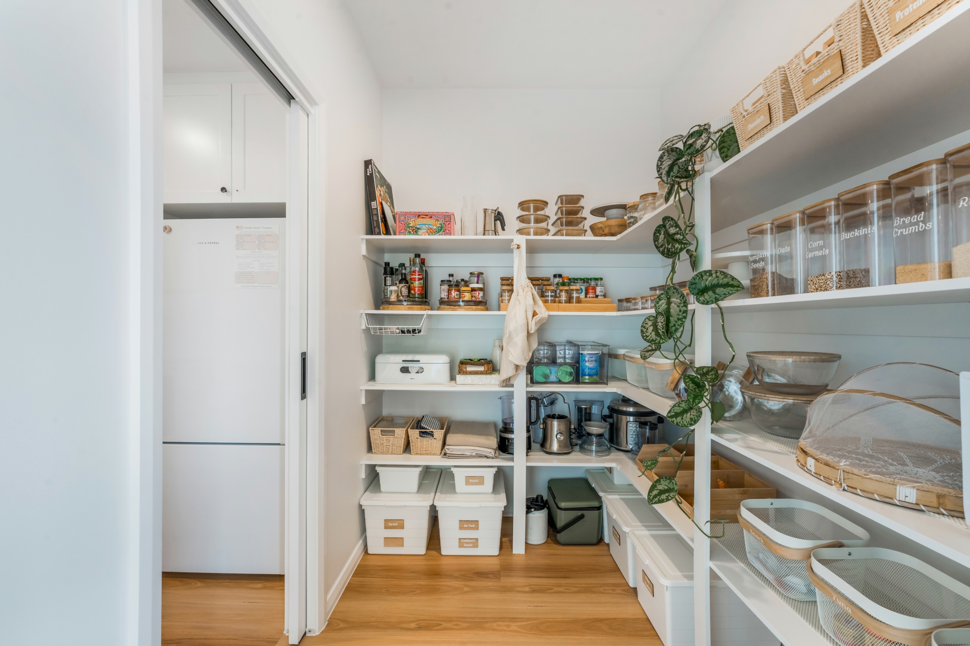 51 Tiger Street — photo 8 of 24