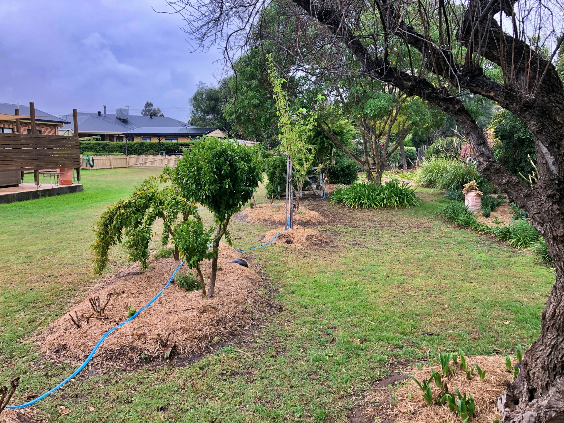 4 Woorak Ct, GOONDIWINDI