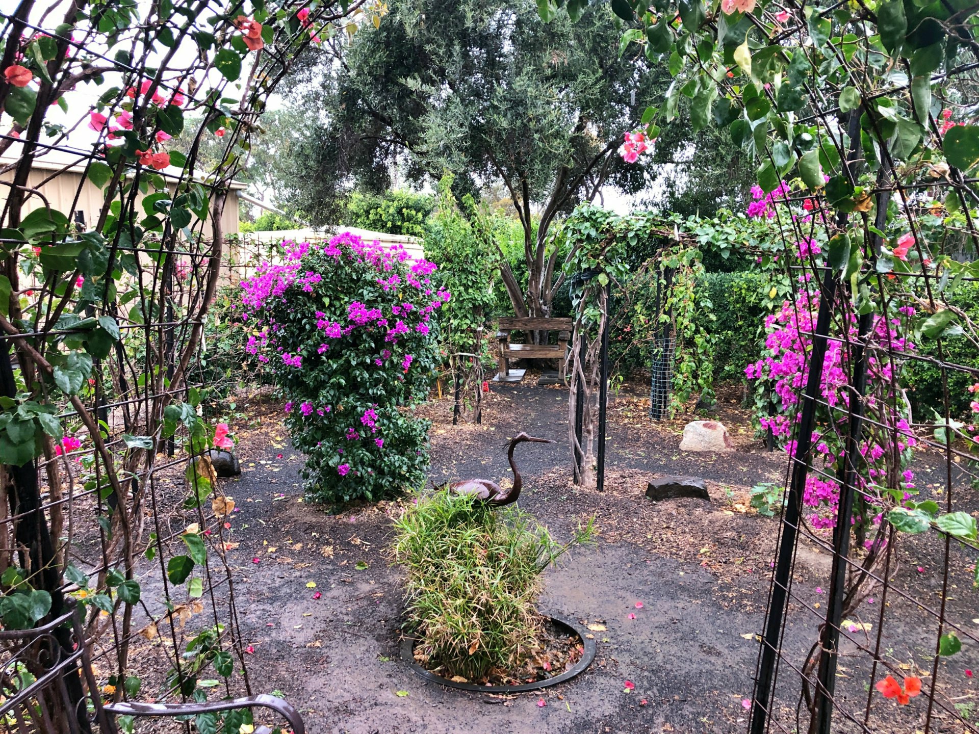 4 Woorak Ct, GOONDIWINDI