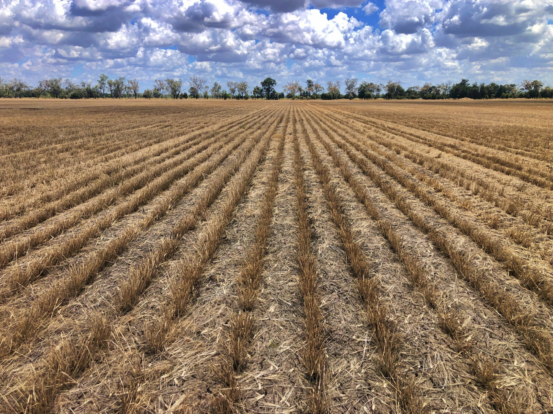 2029 Goodar Rd, GOONDIWINDI
