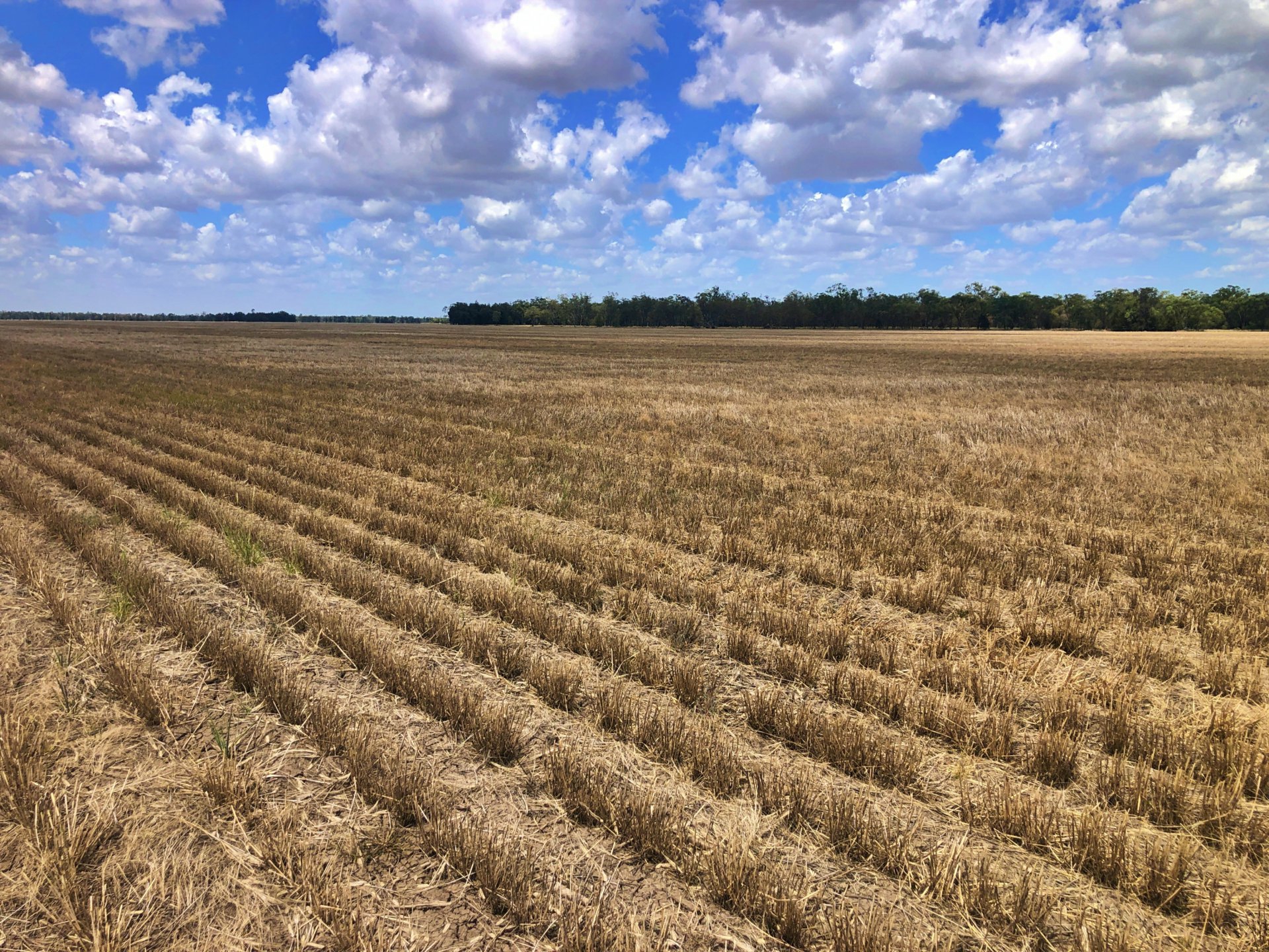 2029 Goodar Rd, GOONDIWINDI