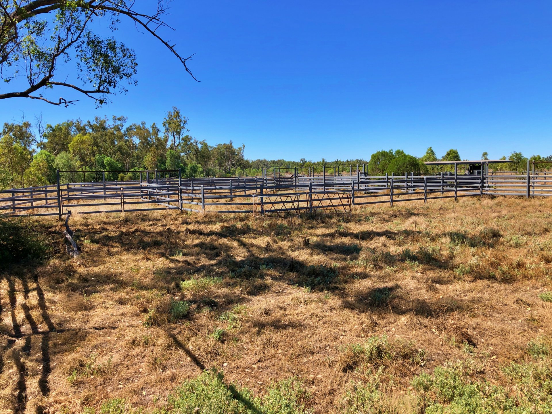 2029 Goodar Rd, GOONDIWINDI