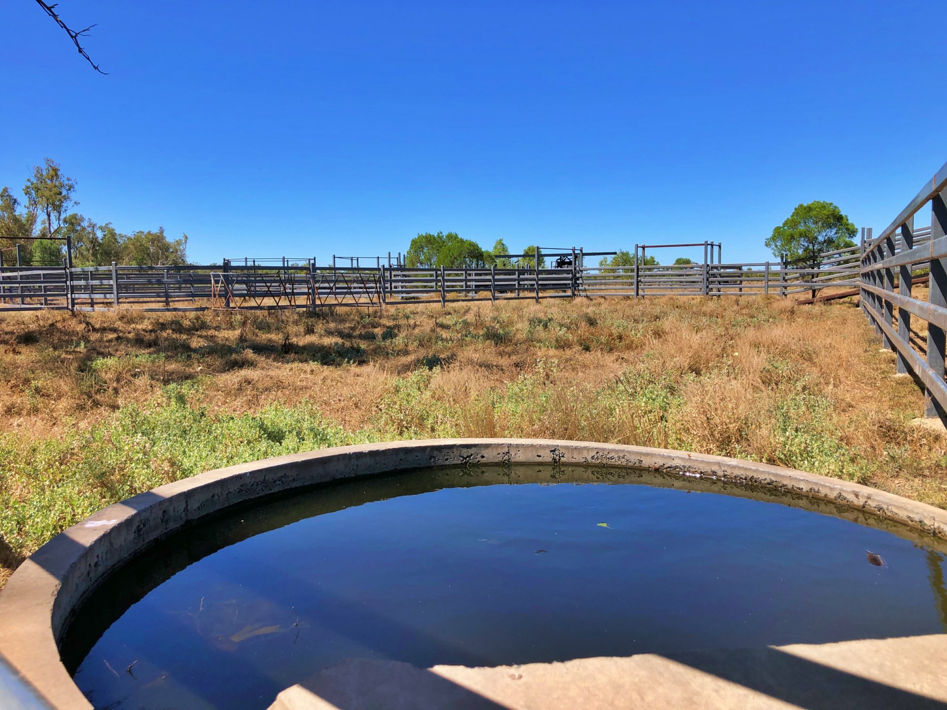 2029 Goodar Rd, GOONDIWINDI