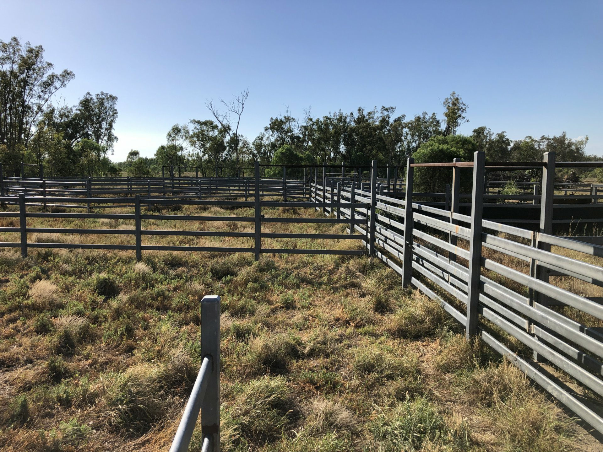 2029 Goodar Rd, GOONDIWINDI