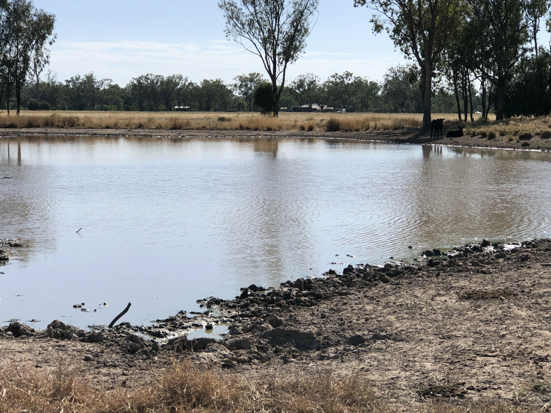 2029 Goodar Rd, GOONDIWINDI