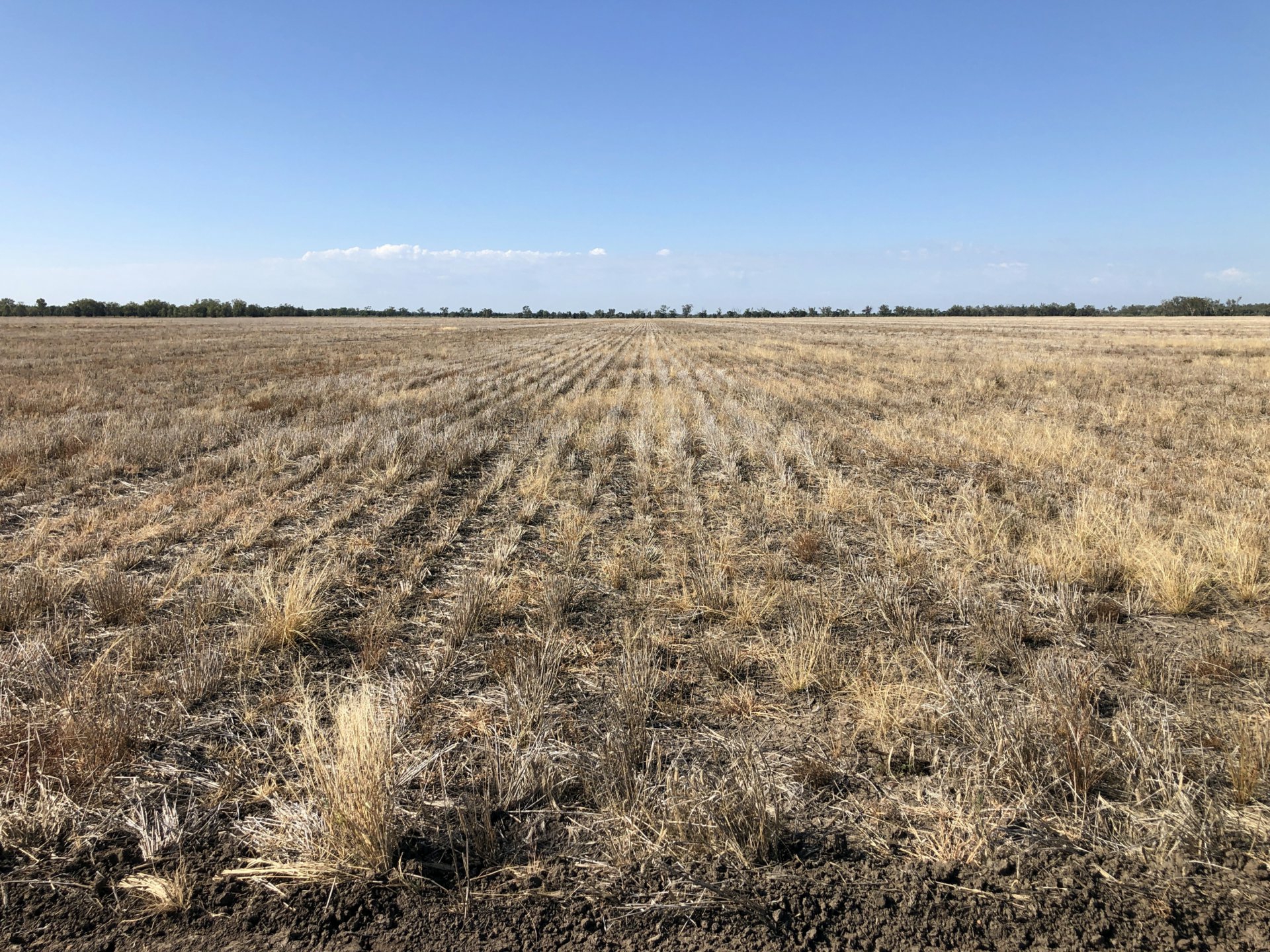 2029 Goodar Rd, GOONDIWINDI