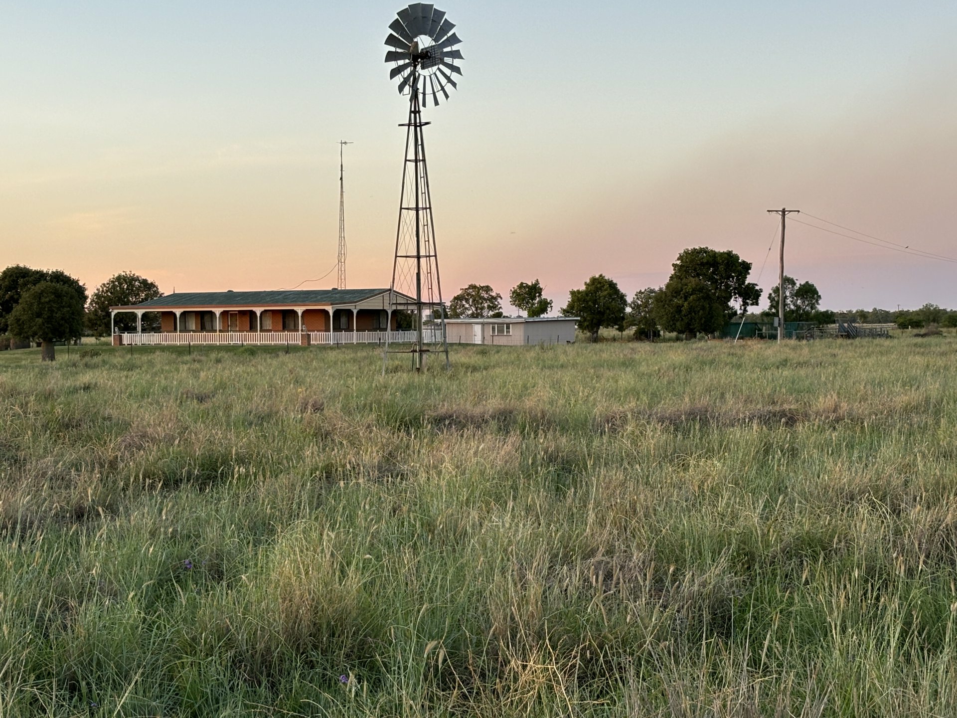 52 Polo Rd, GOONDIWINDI
