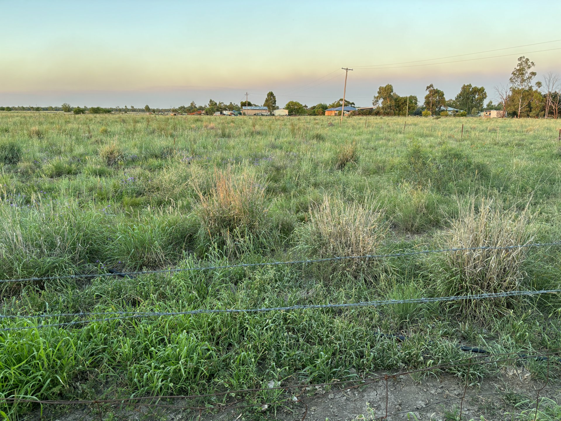 52 Polo Rd, GOONDIWINDI