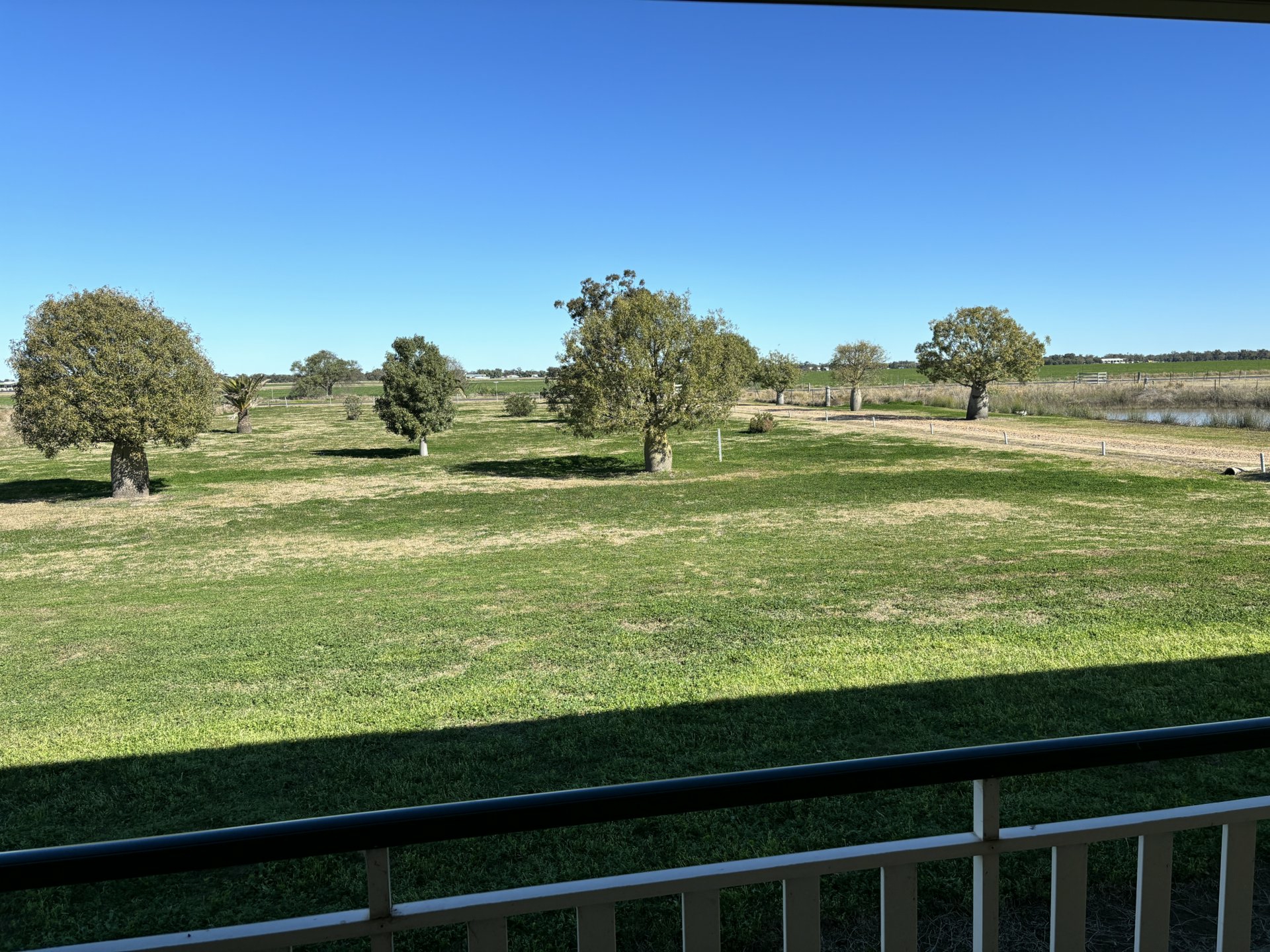 52 Polo Rd, GOONDIWINDI