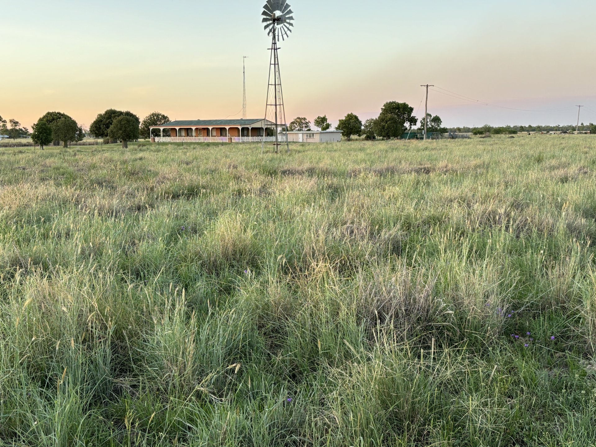 52 Polo Rd, GOONDIWINDI