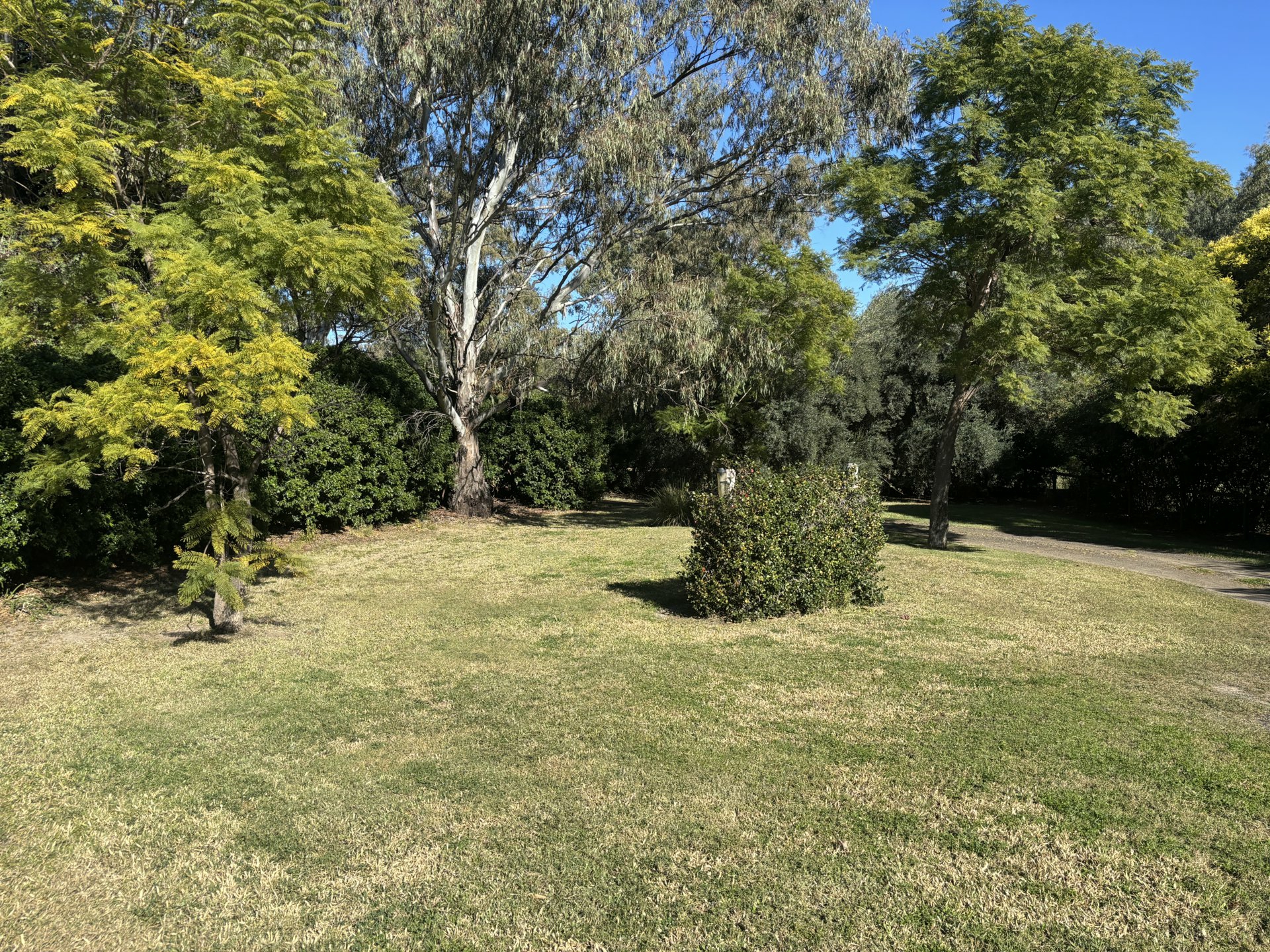 18 Blue Gums Dr Goondiwindi QLD