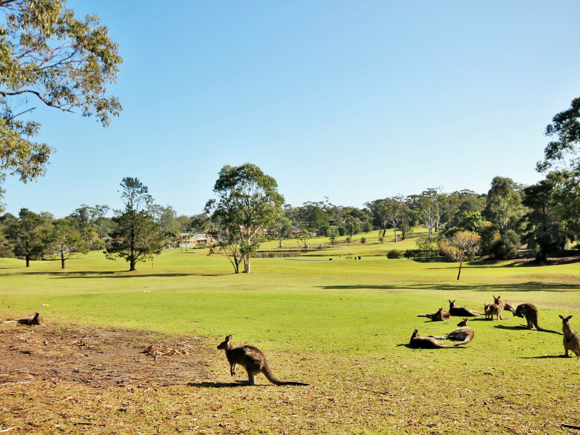 75 Paradise Beach Rd, Sanctuary Point