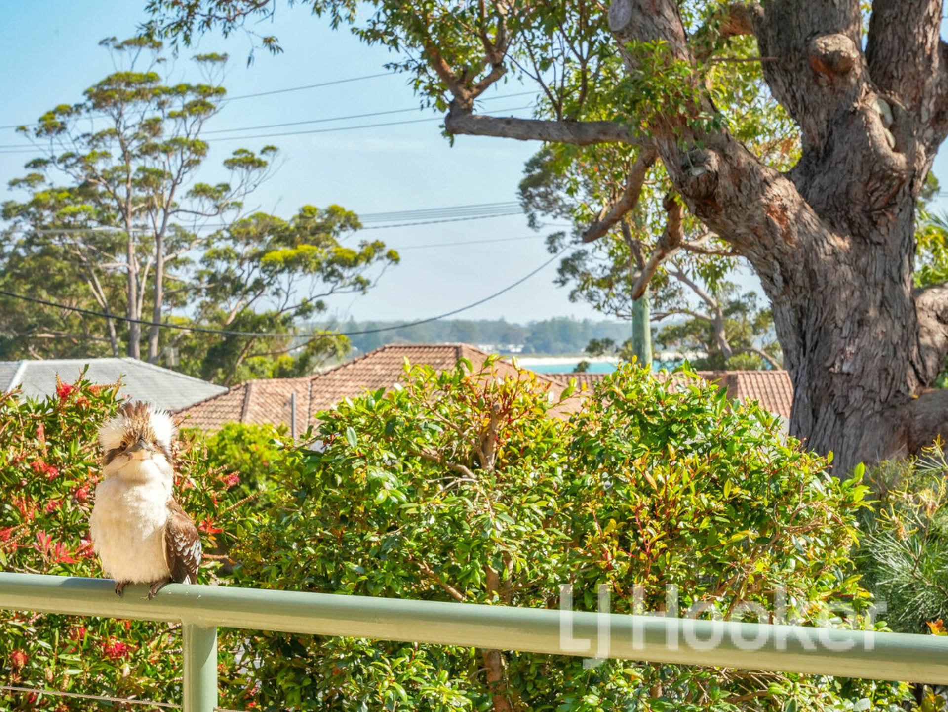 165 Elizabeth Drive, VINCENTIA