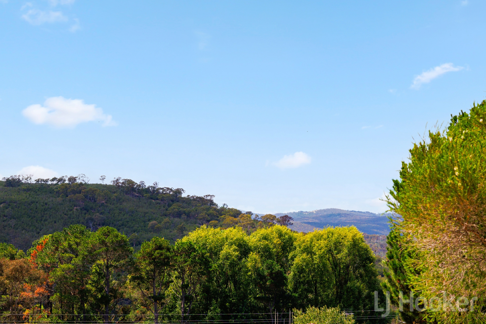 154 Wickerslack Lane, GOOGONG