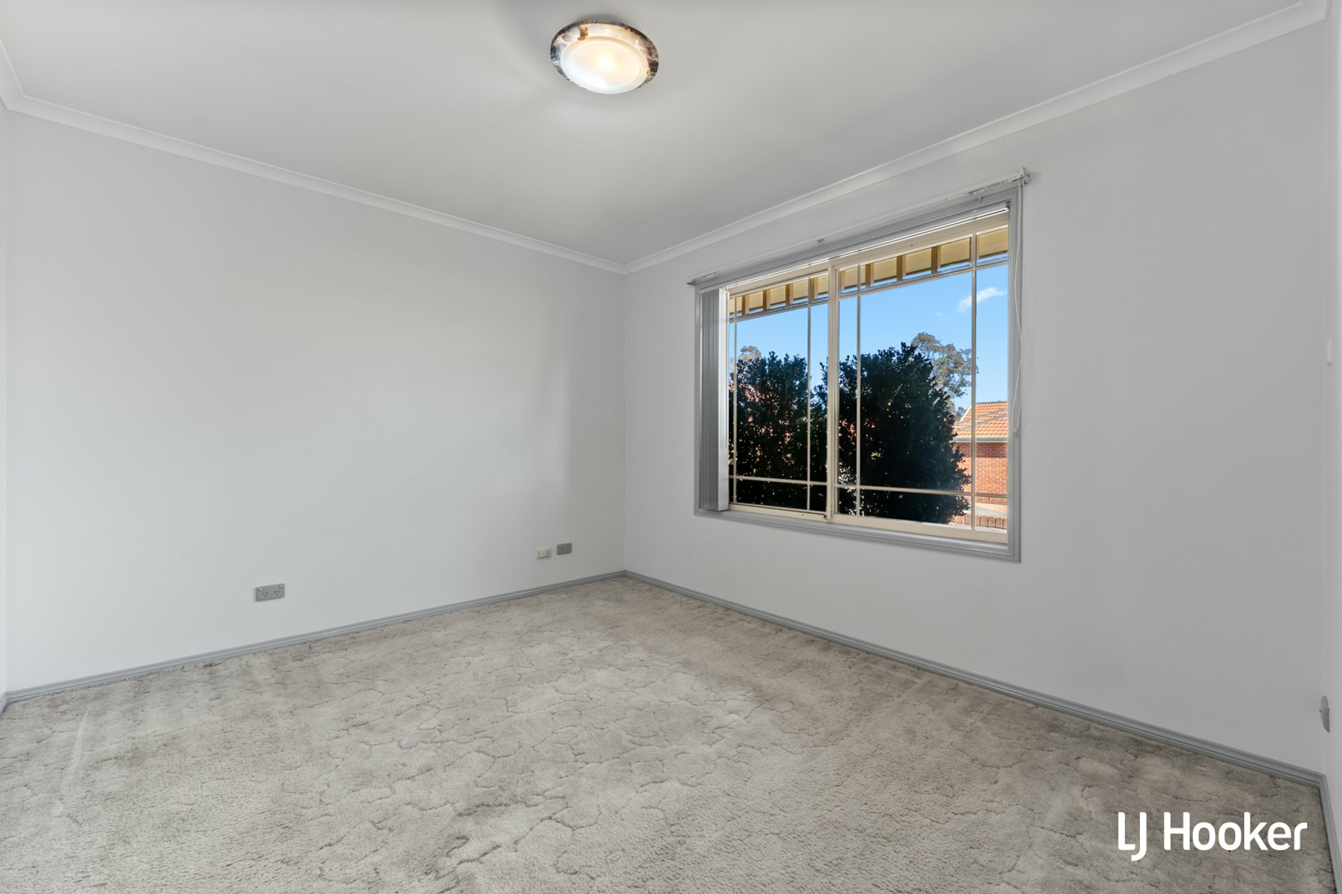8/1-3 Forest Drive — photo 14 of 18