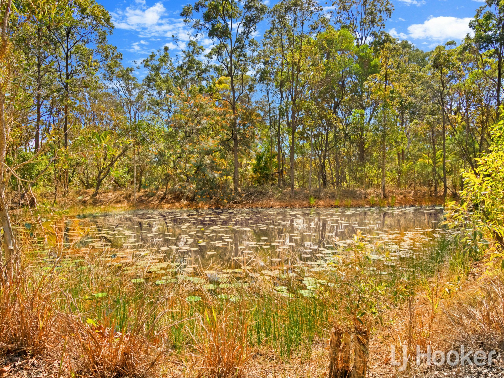 316 Vanderwolf Road, BUNYA CREEK
