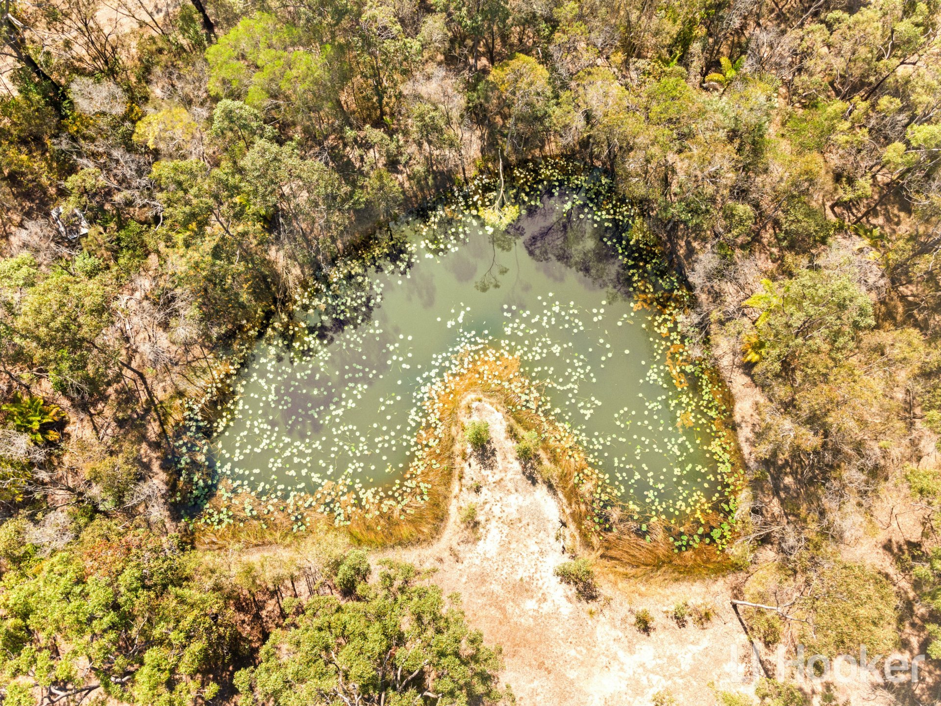 316 Vanderwolf Road, BUNYA CREEK