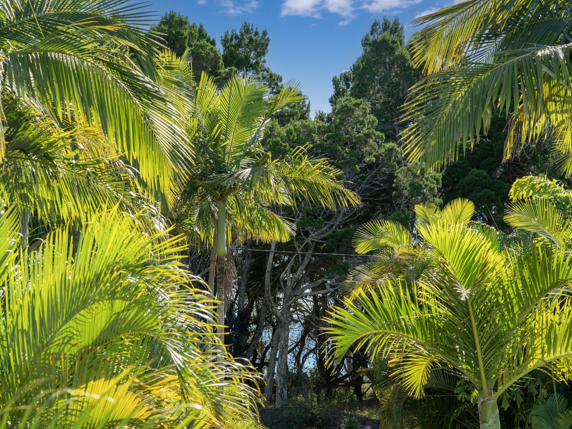 Unit 17/386 CHARLTON ESPLANADE, TORQUAY