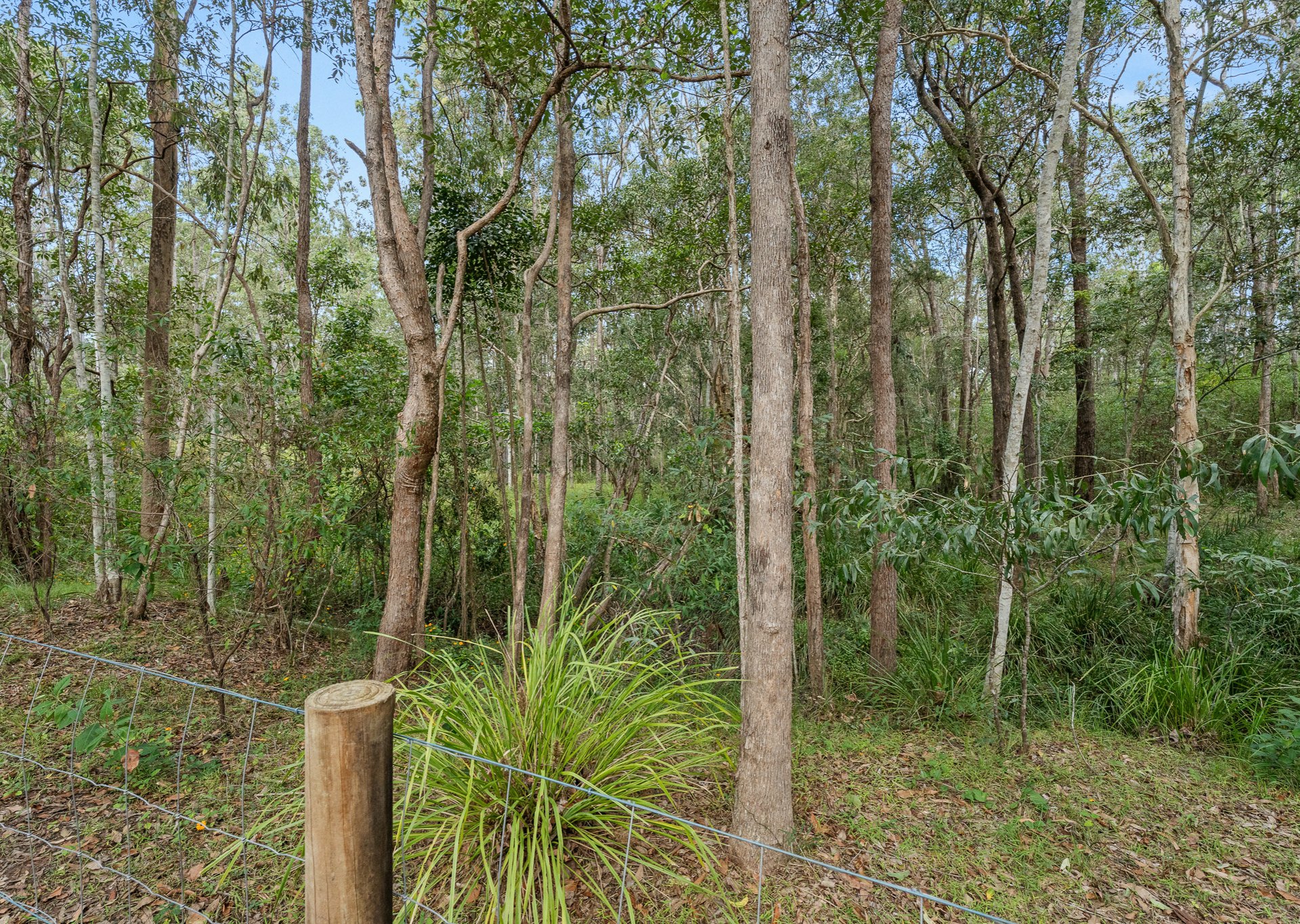 32 Arborthree Road — photo 20 of 25