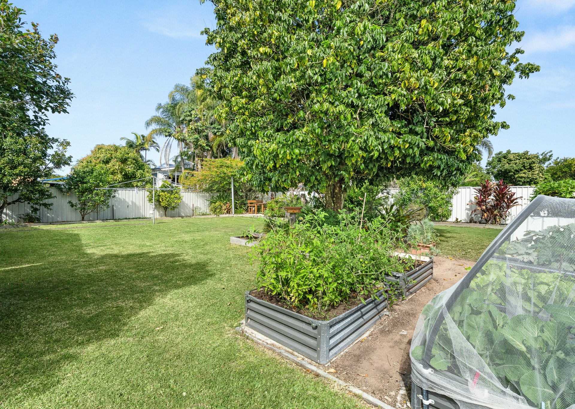 102a Queen Street — photo 17 of 22