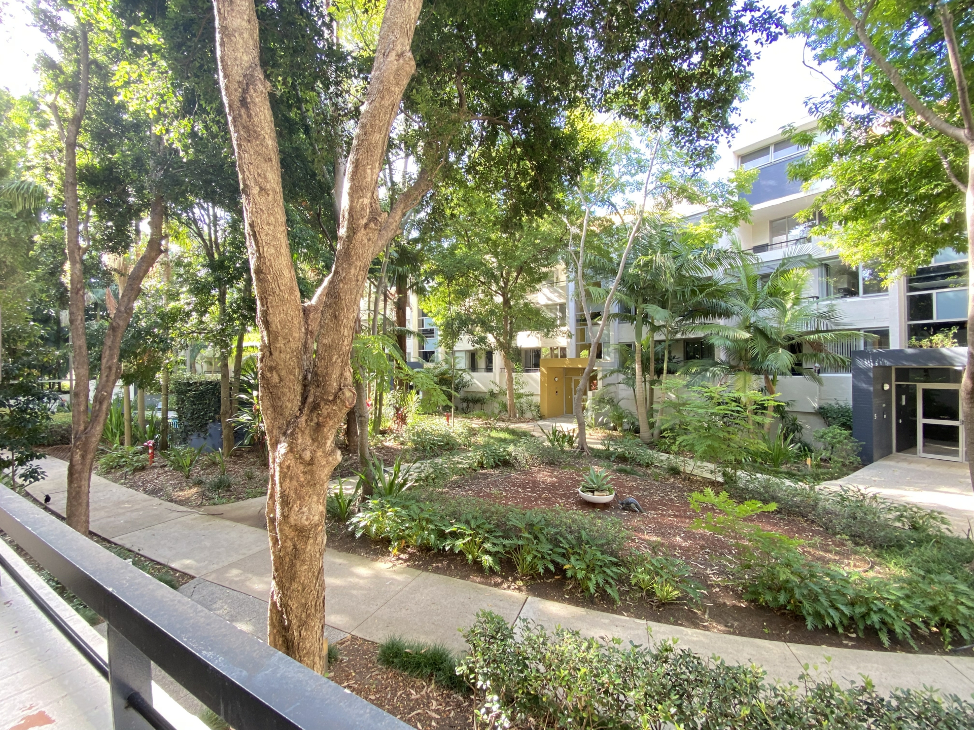 1/3 Mockridge Avenue Newington NSW Apartment for Rent LJ Hooker