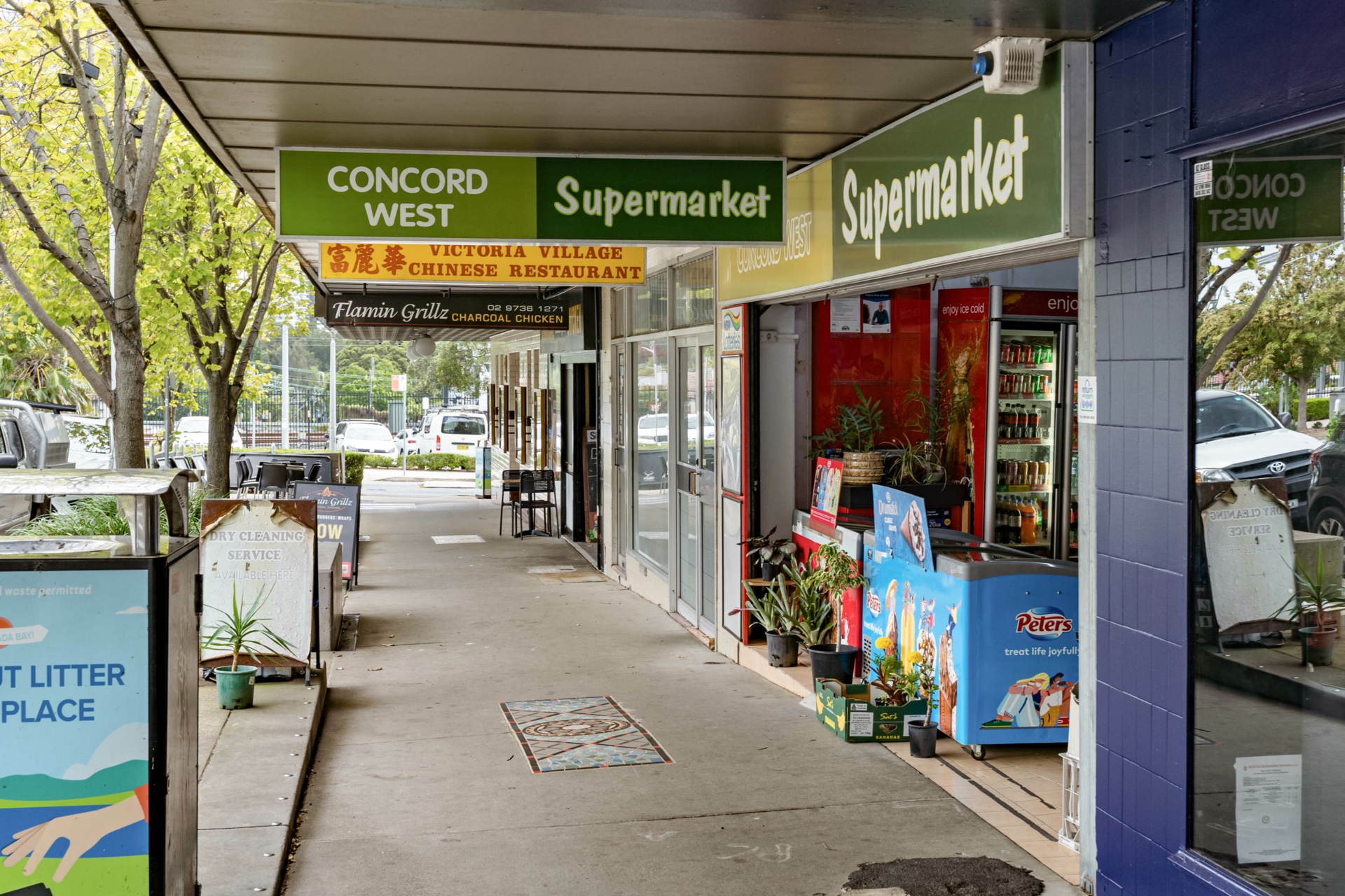 285C Concord Road, CONCORD WEST