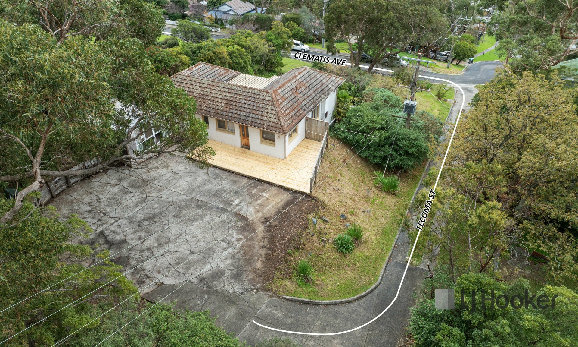 46 Clematis Avenue — photo 3 of 14