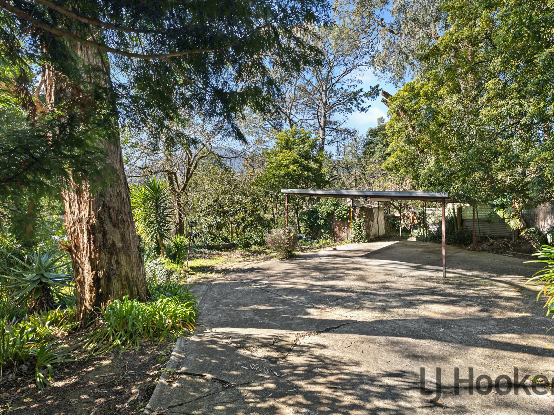 1379 Mountain Hwy — photo 15 of 17