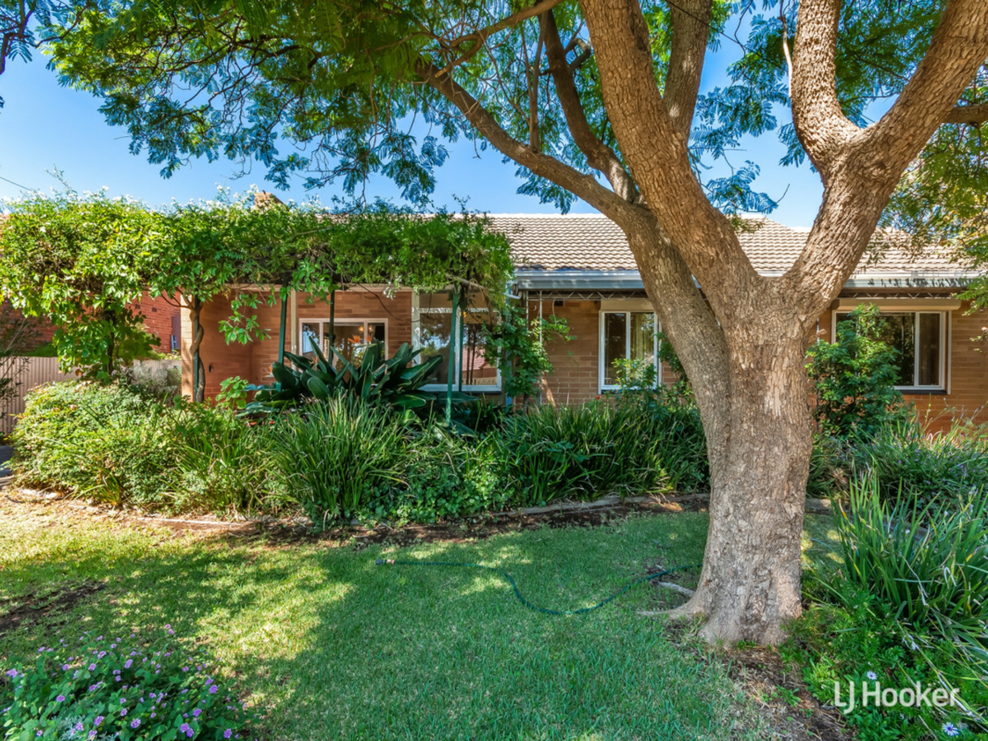 10 Alexander Street, Elizabeth Park