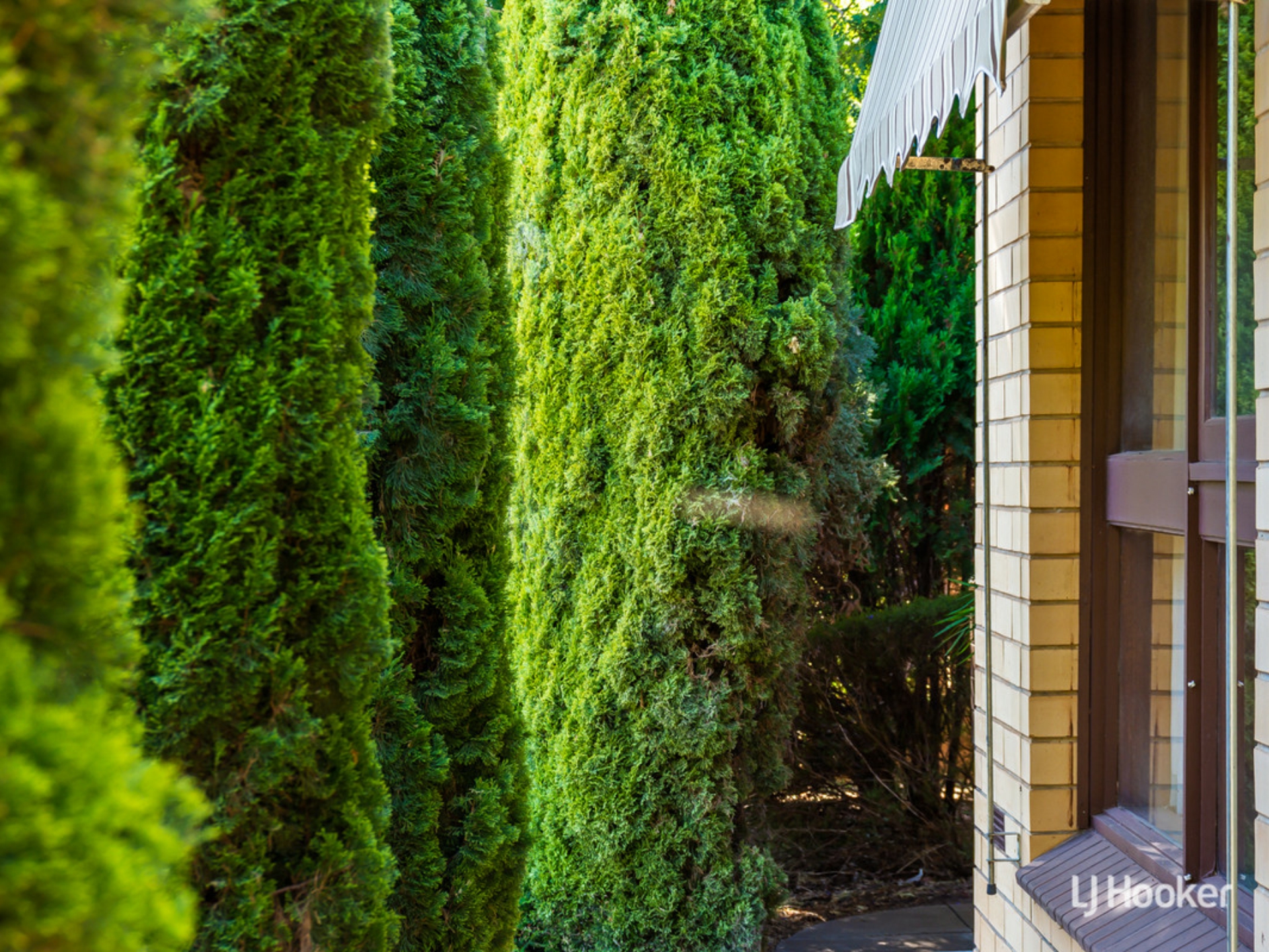 13 Derrick Road, ELIZABETH EAST