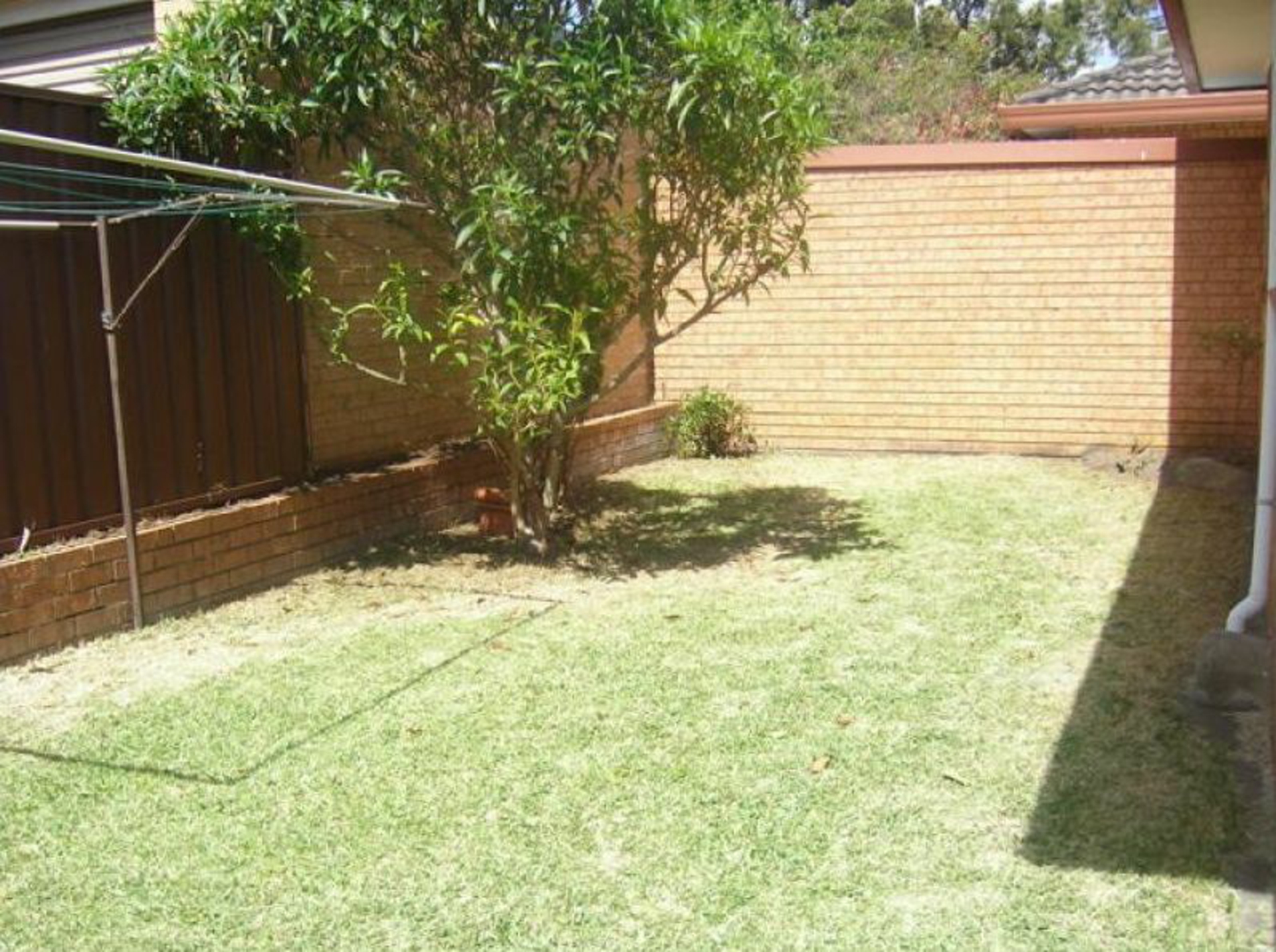 3/50 Bassett Street — photo 6 of 6