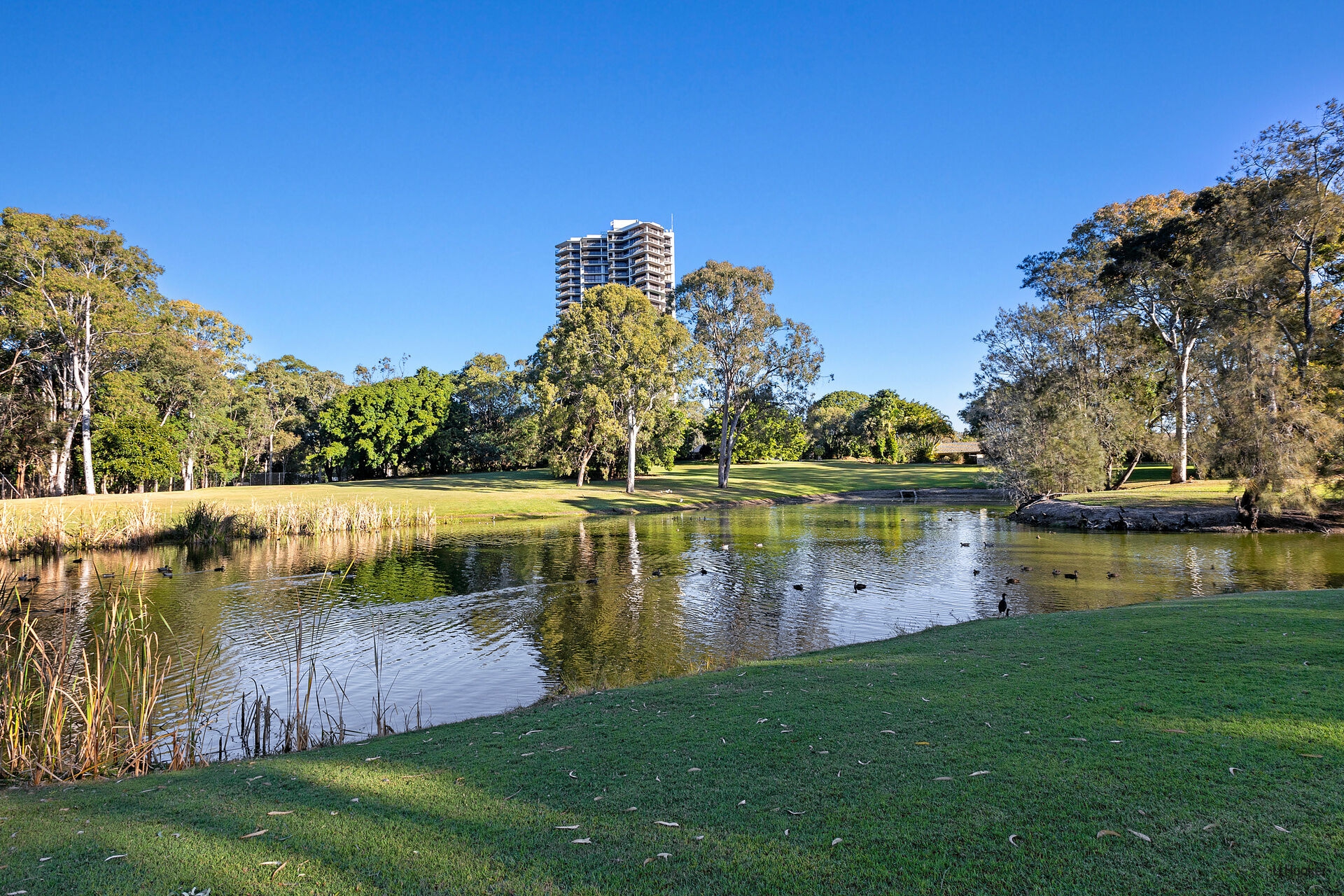 601/22 Kirkwood Road, TWEED HEADS SOUTH