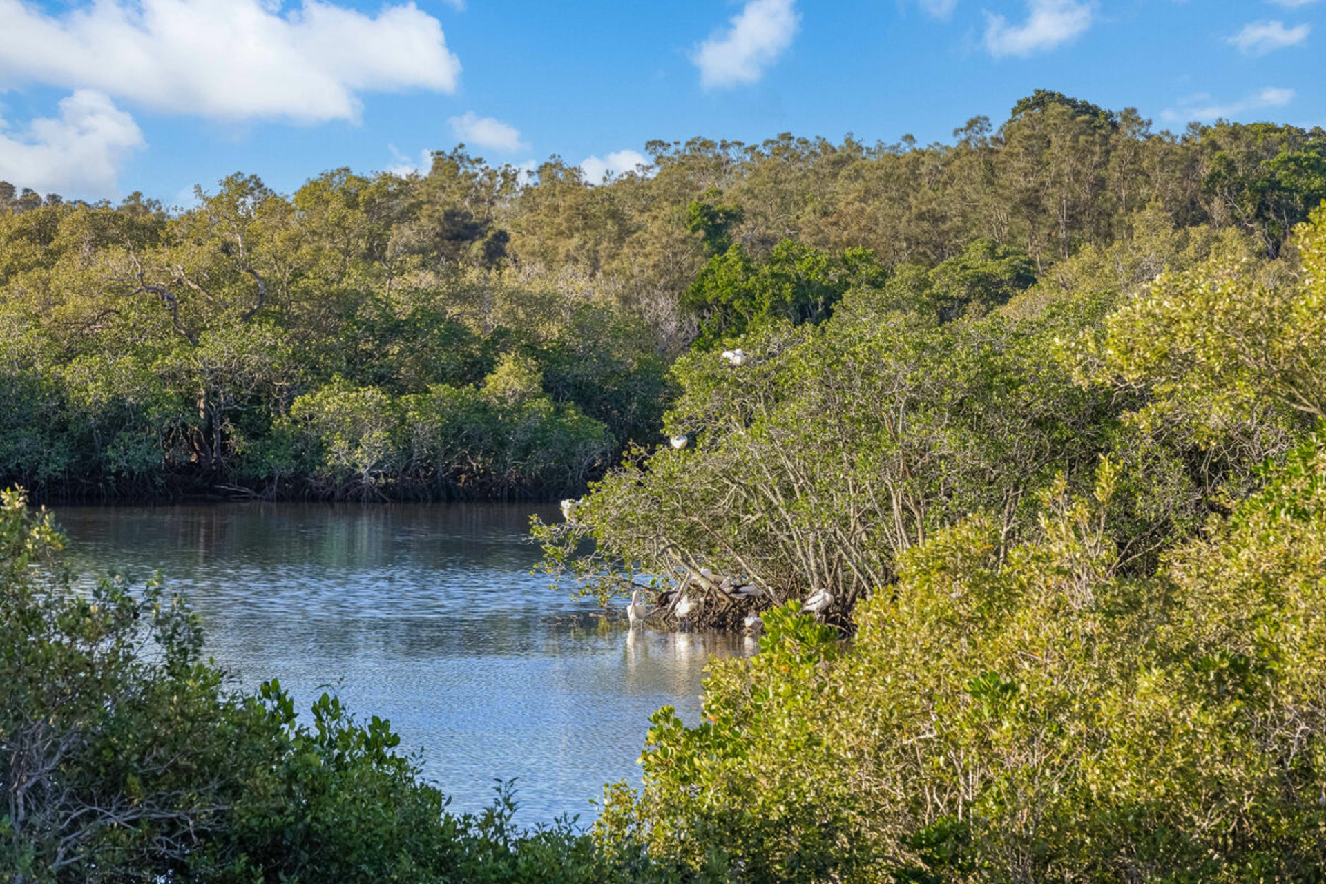 14 Water Street, TWEED HEADS SOUTH