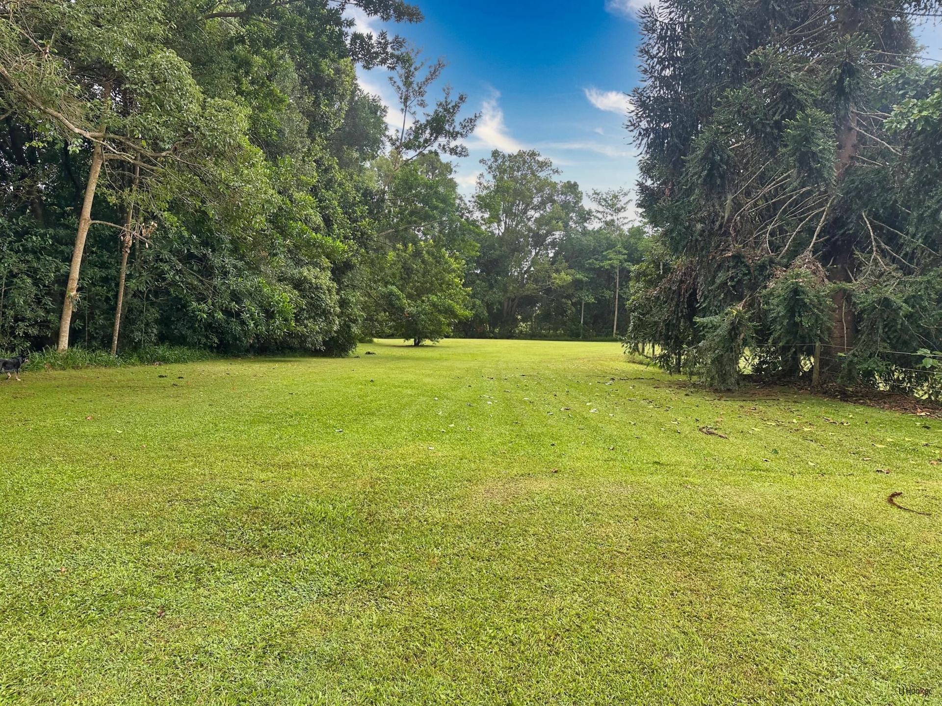 308 Tomewin Road, DUNGAY