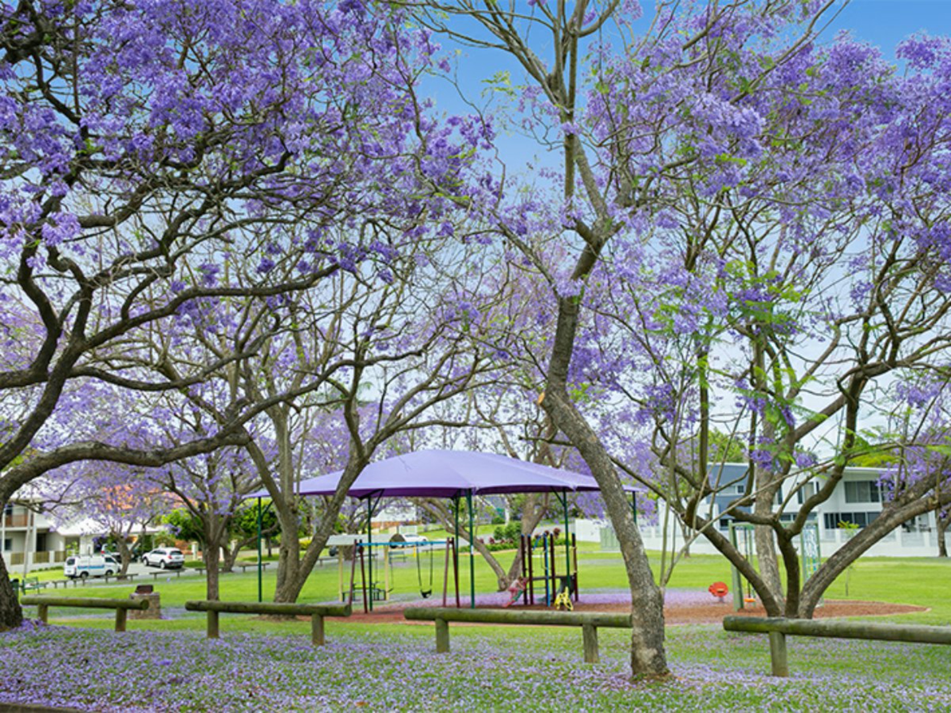 16 Ormonde Road, YERONGA