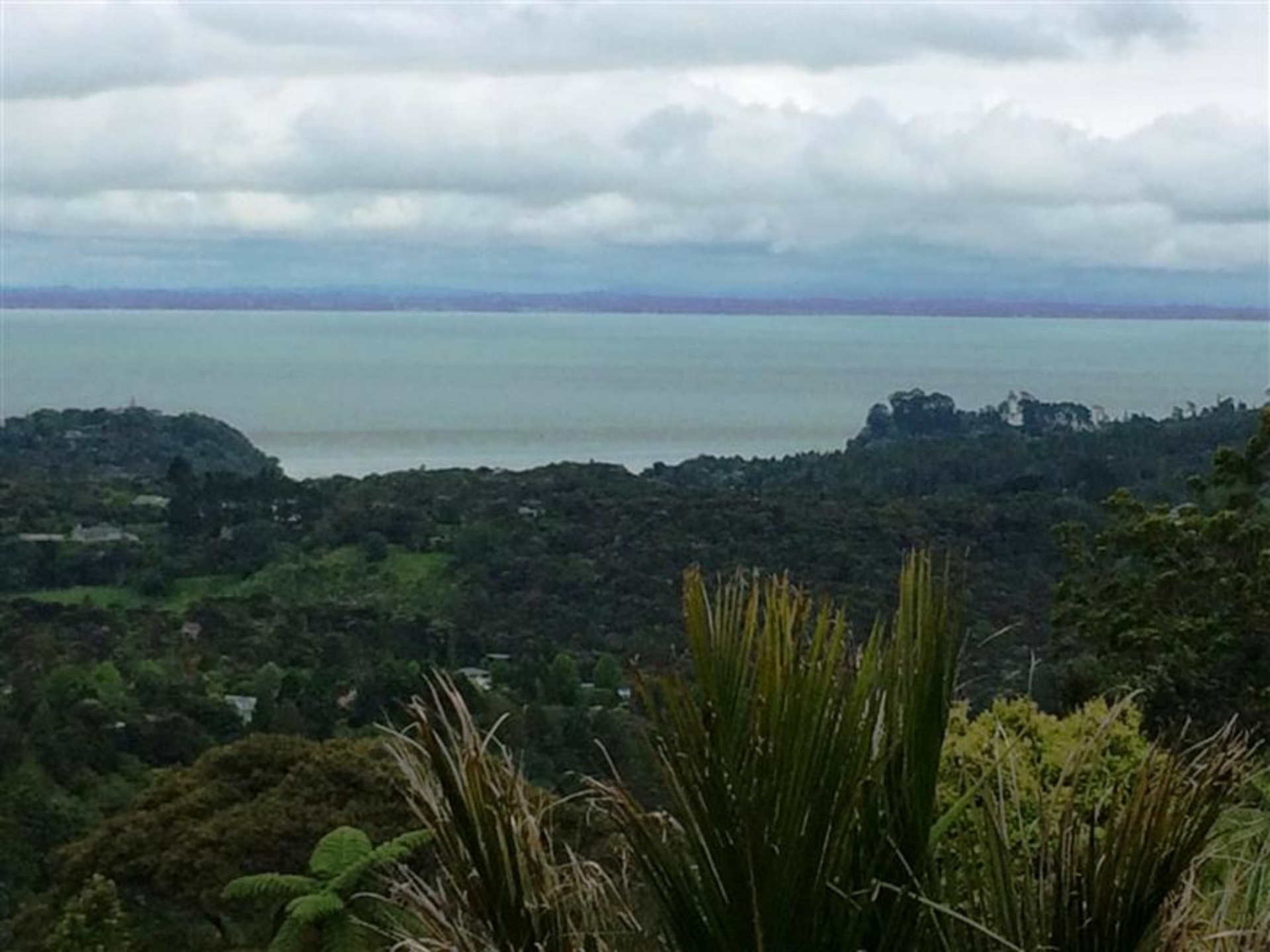 Titirangi, 0604